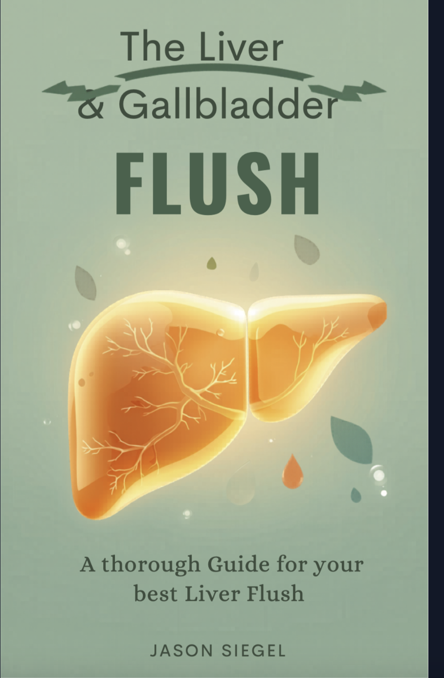Liver & Gallbladder Flush e-book (Instruction Manual)