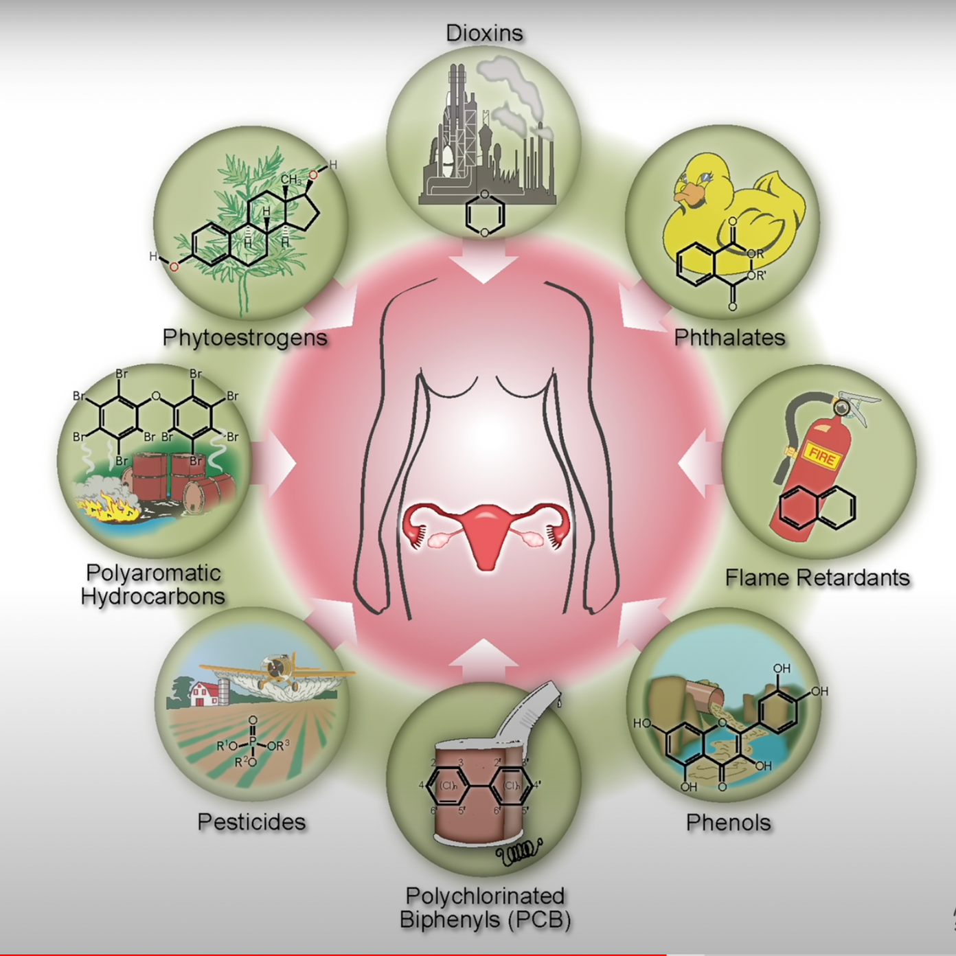 Diagram showing chemicals that can disrupt human reproductive health, including dioxins, phytoestrogens, phthalates, flame retardants, phenols, polyclorinated biphenyls, pesticides, and polyaromatic hydrocarbons.