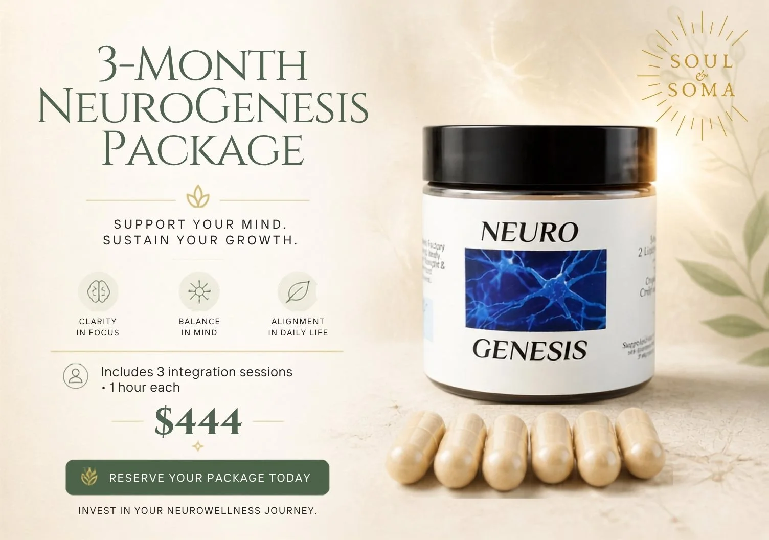 NeuroGenesis + Integration