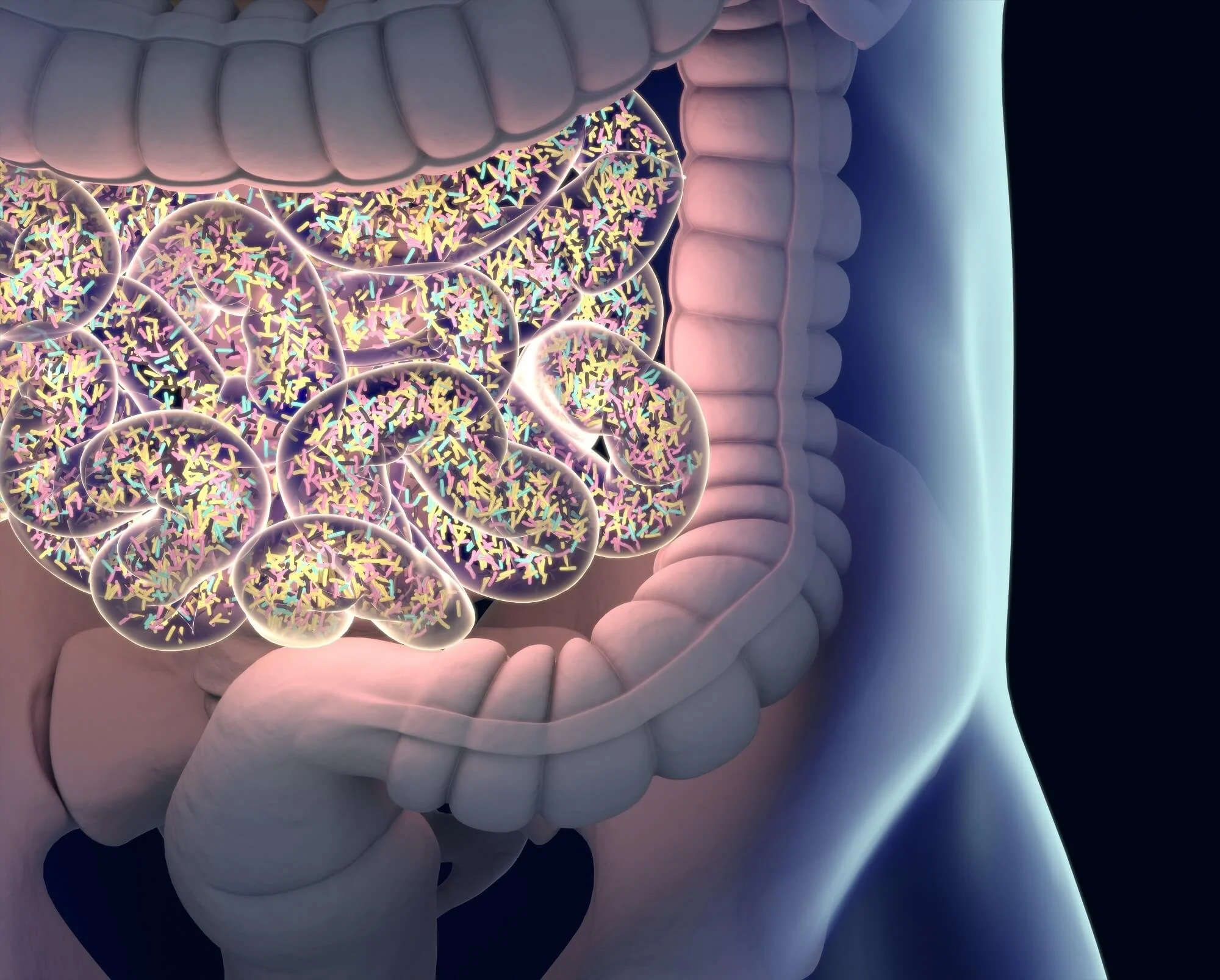 Digital illustration of the human digestive system, showing the intestines filled with colorful sprinkles.