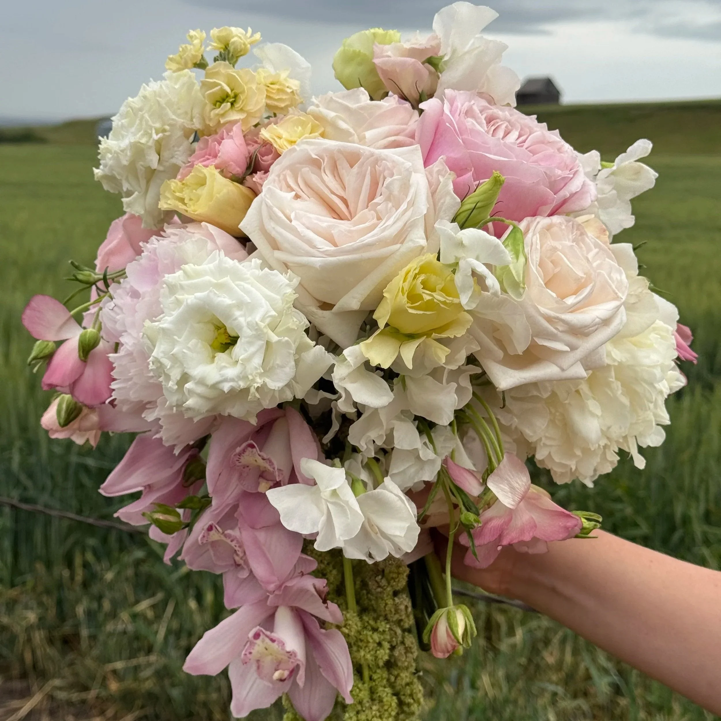 Close-up of a bouquet of pastel-colored flowers, including pink, cream, and yellow blooms, being held outdoors in a grassy area with a cloudy sky in the background.