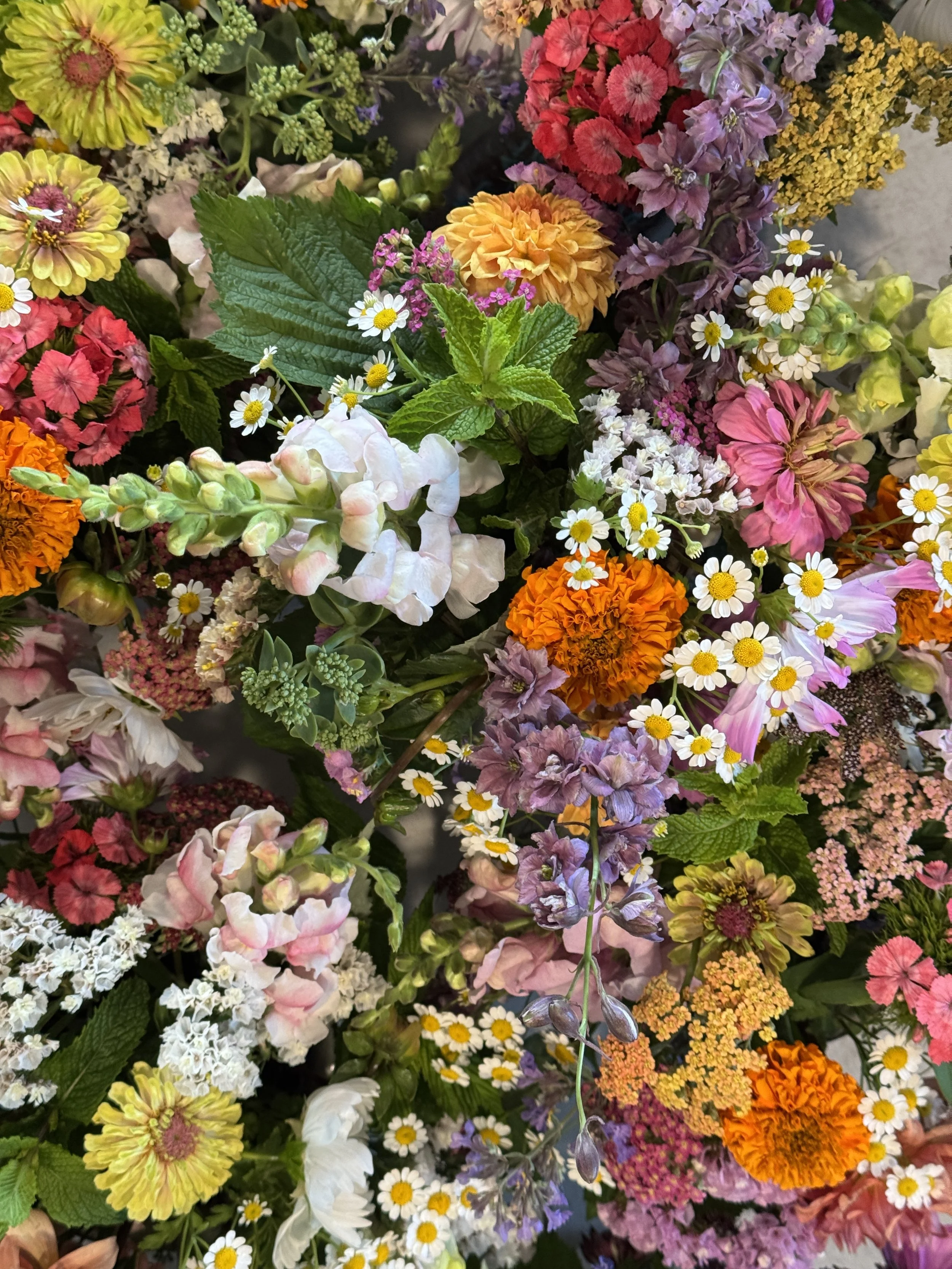 A colorful assortment of various flowers including daisies, marigolds, snapdragons, and hydrangeas in different vibrant colors such as yellow, orange, pink, purple, and white, with green leaves mixed throughout.