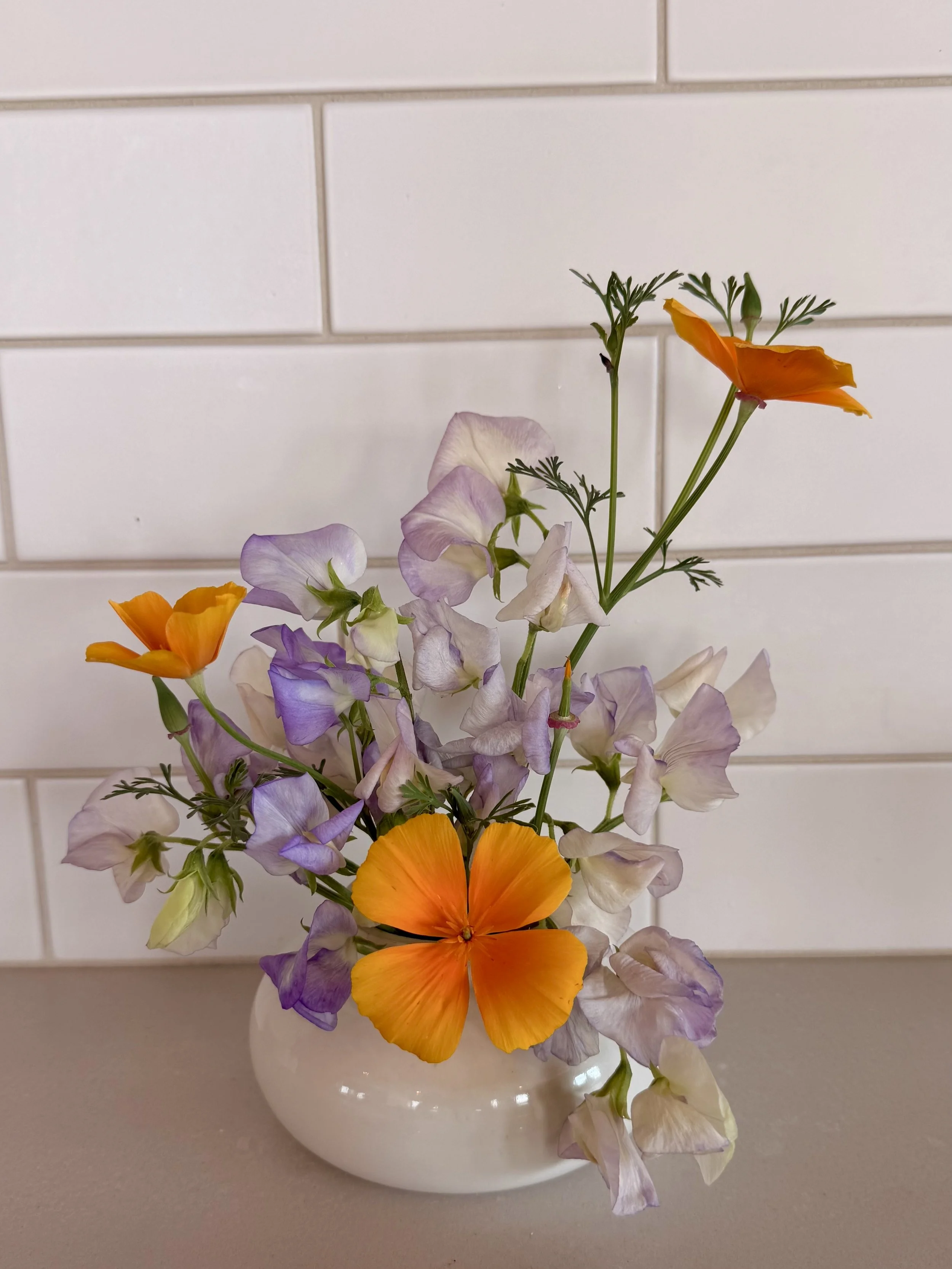 IMG_0097.jpeg