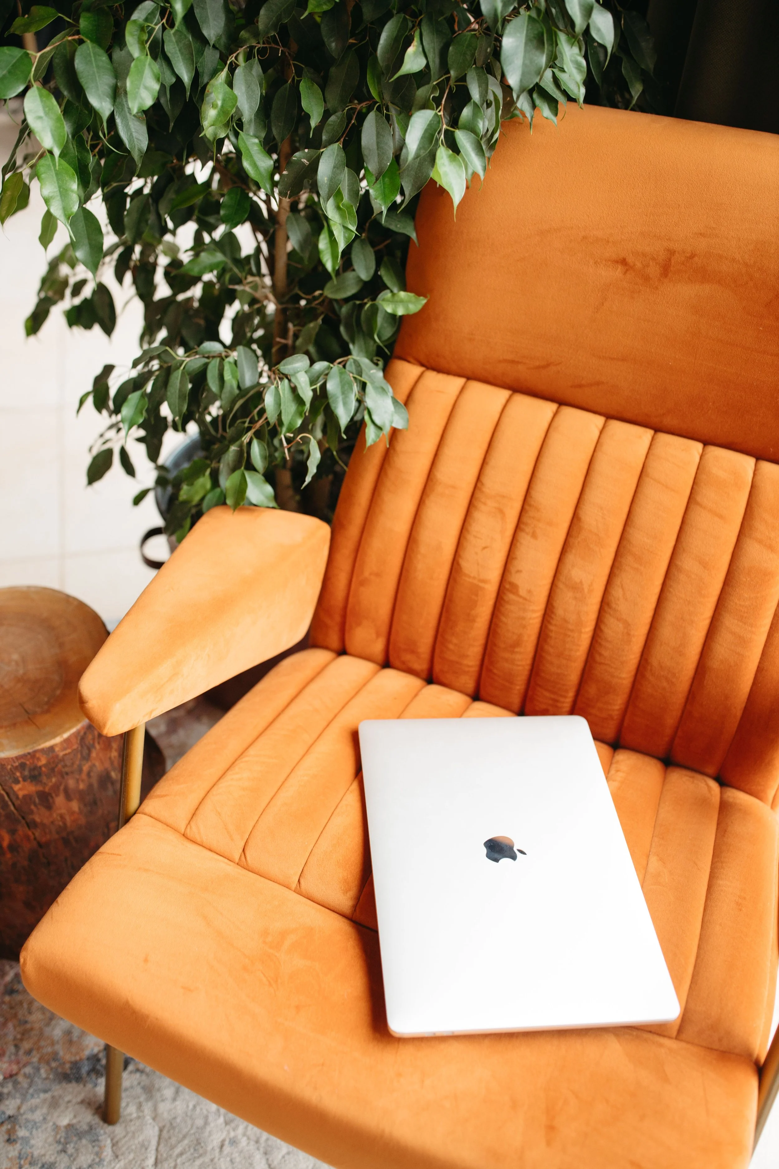 Orange upholstered armchair with rounded edges and vertical stitched pattern, a closed silver MacBook on the seat, a small wooden side table with metal legs, green leafy plant behind the chair, and a patterned carpet below.