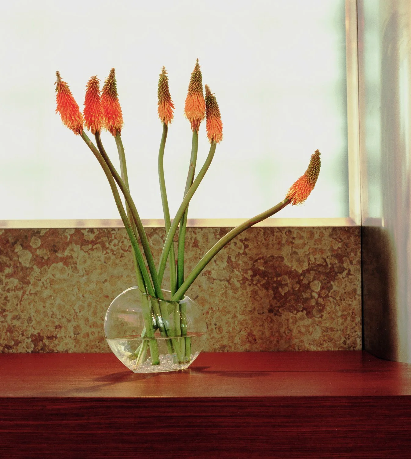flower_closeup.jpg