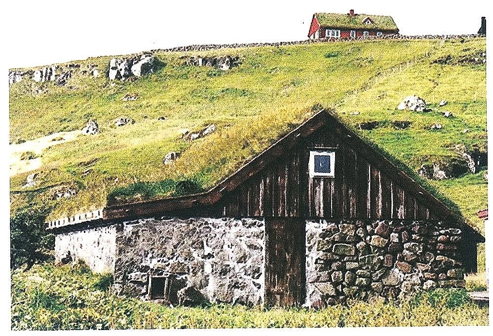 house%252Bw%252Bgrass.jpg