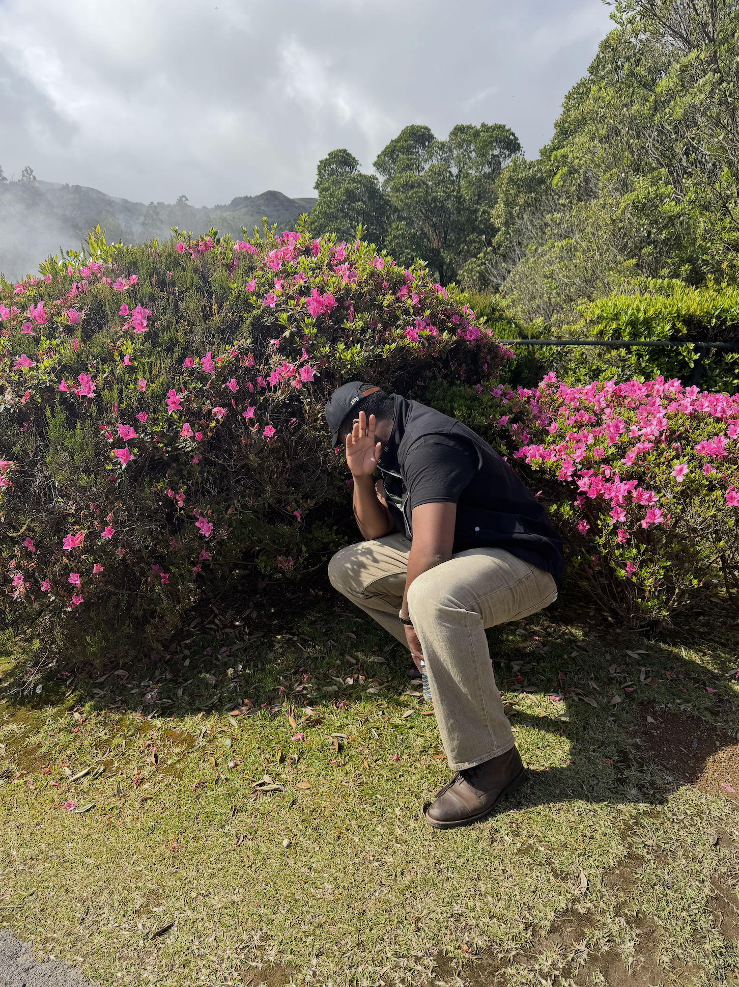 Person crouching in front of pink flowering bushes on a cloudy day