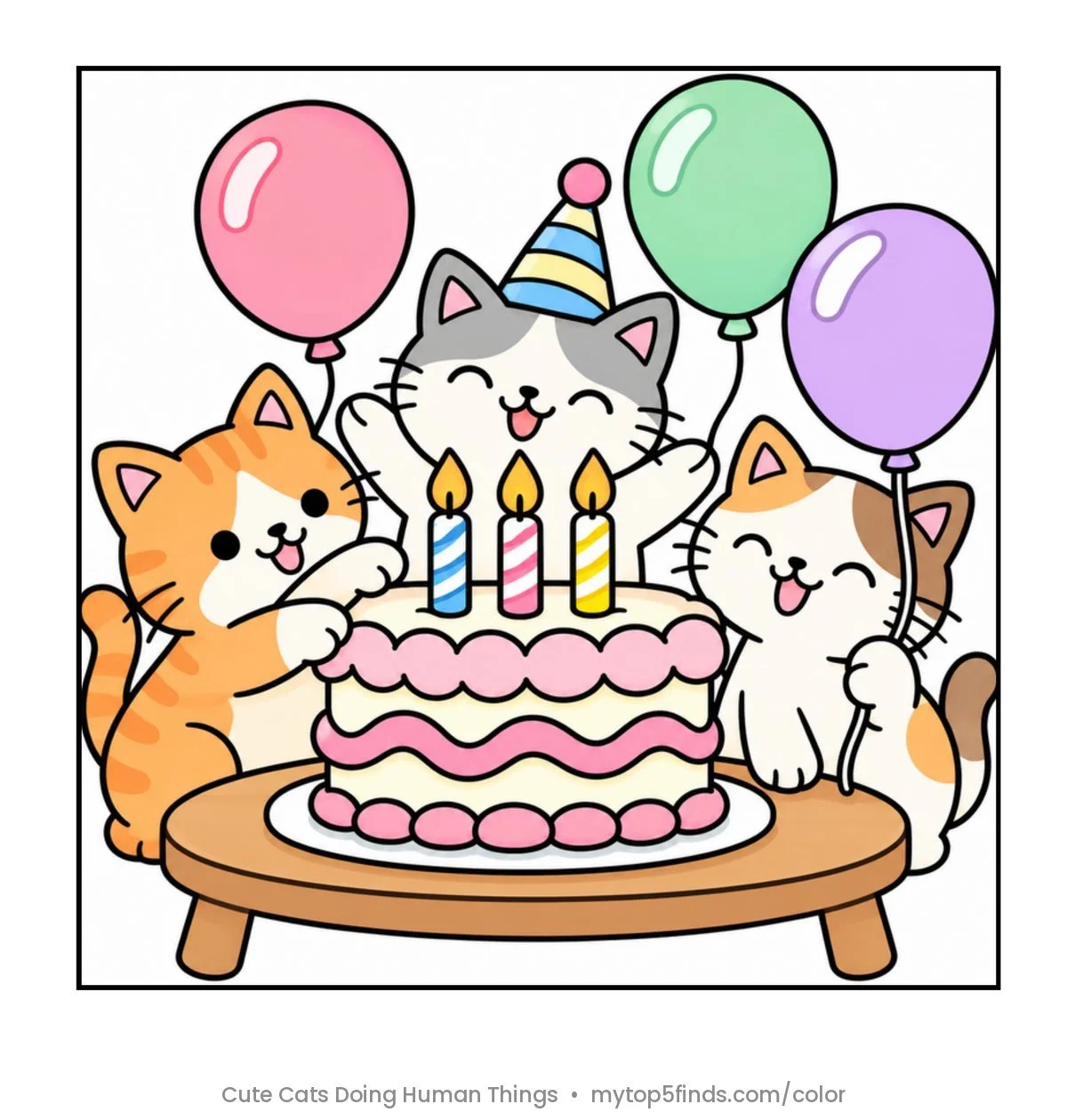 08 Birthday Party