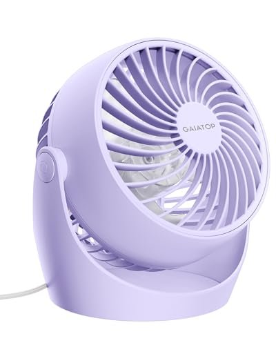 Desk Fan