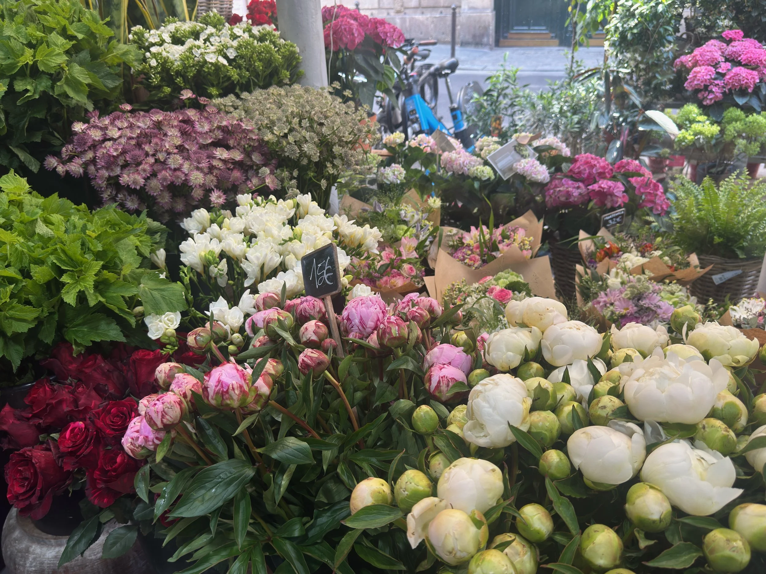 IMG_9741.jpeg