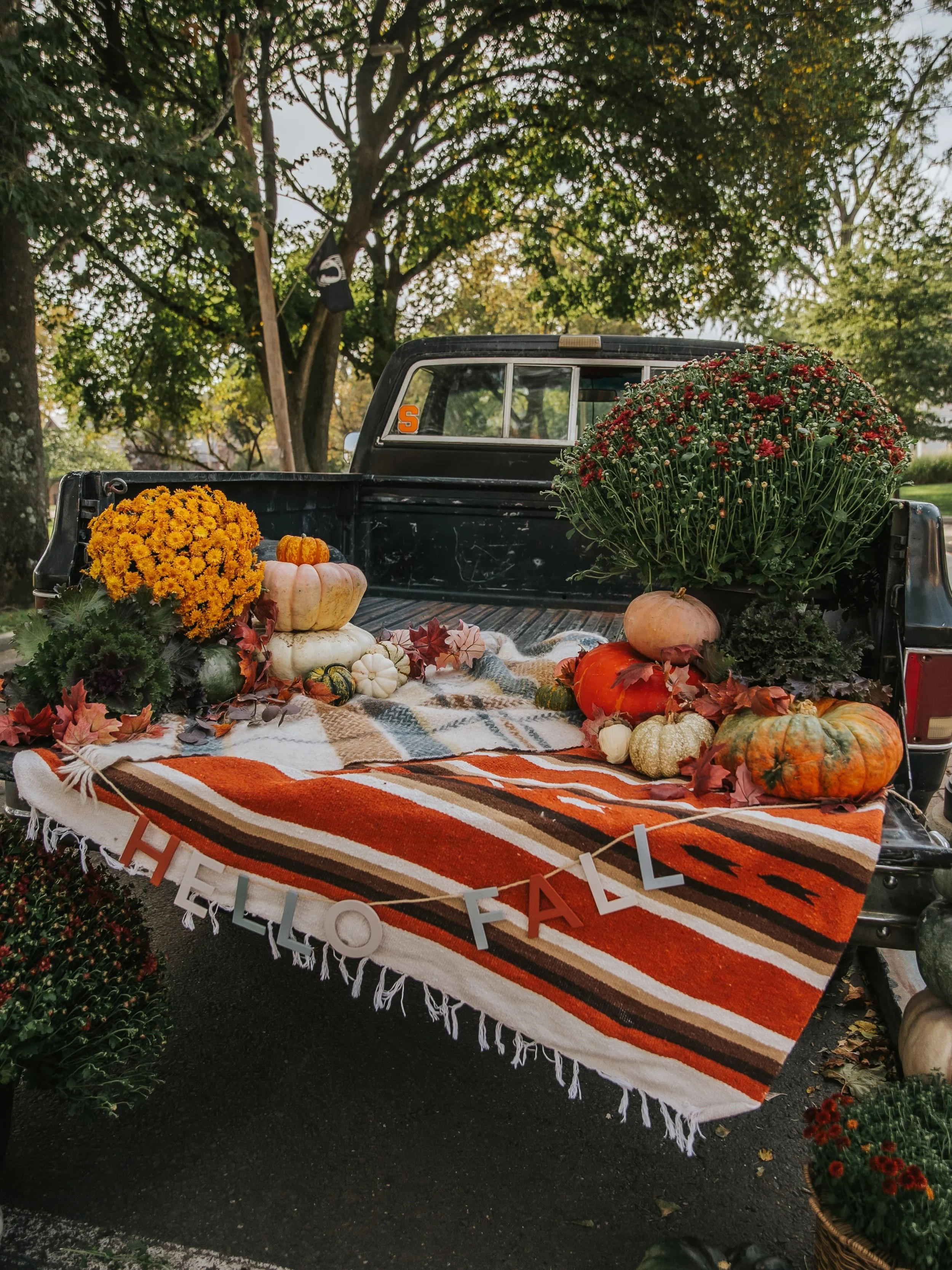 Well we have quite a weekend coming up&hellip;

🎥 First we have our Hall-o-Weekend Outdoor Movie Night on the Green.
Friday - October 23rd - 6pm
Charlie Brown and the Great Pumpkin followed by Practical Magic

🎃 On Saturday - October 24th - 10-3pm 