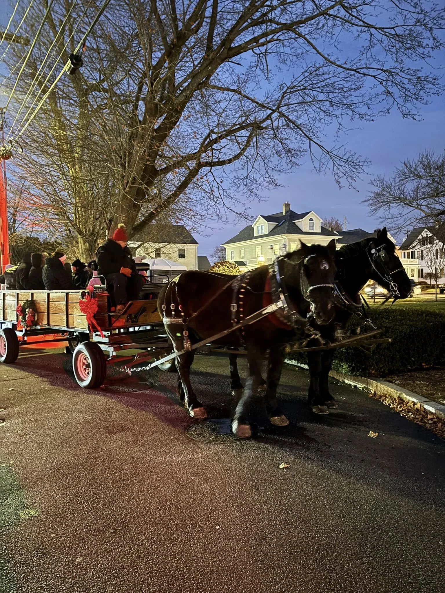 Lamplight Stroll in Downtown Milford on December 4 organized by the Downtown Milford Business Association showcasing horse carriages rides.