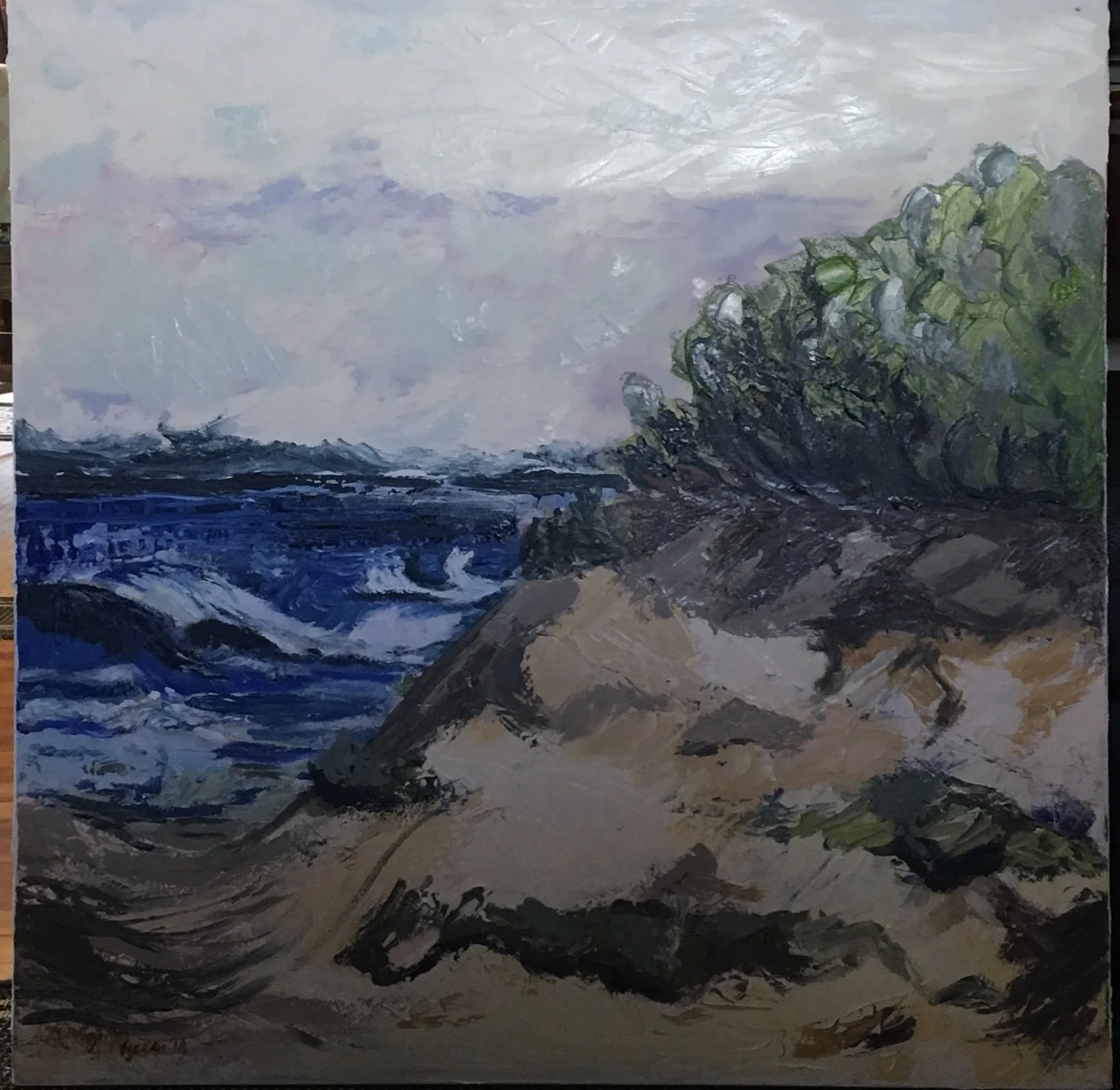 Untamed Beach