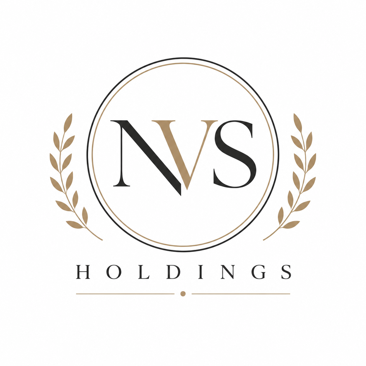 NVS Holdings