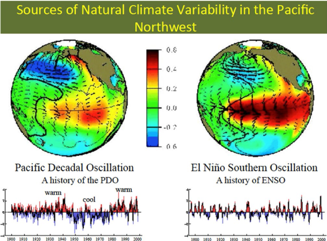 Sources of Natural Climate Variability in the Pacific Northwest