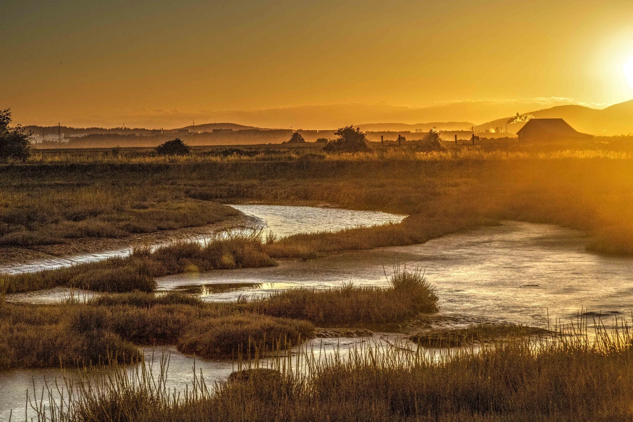 Padilla Bay © Andy Porter