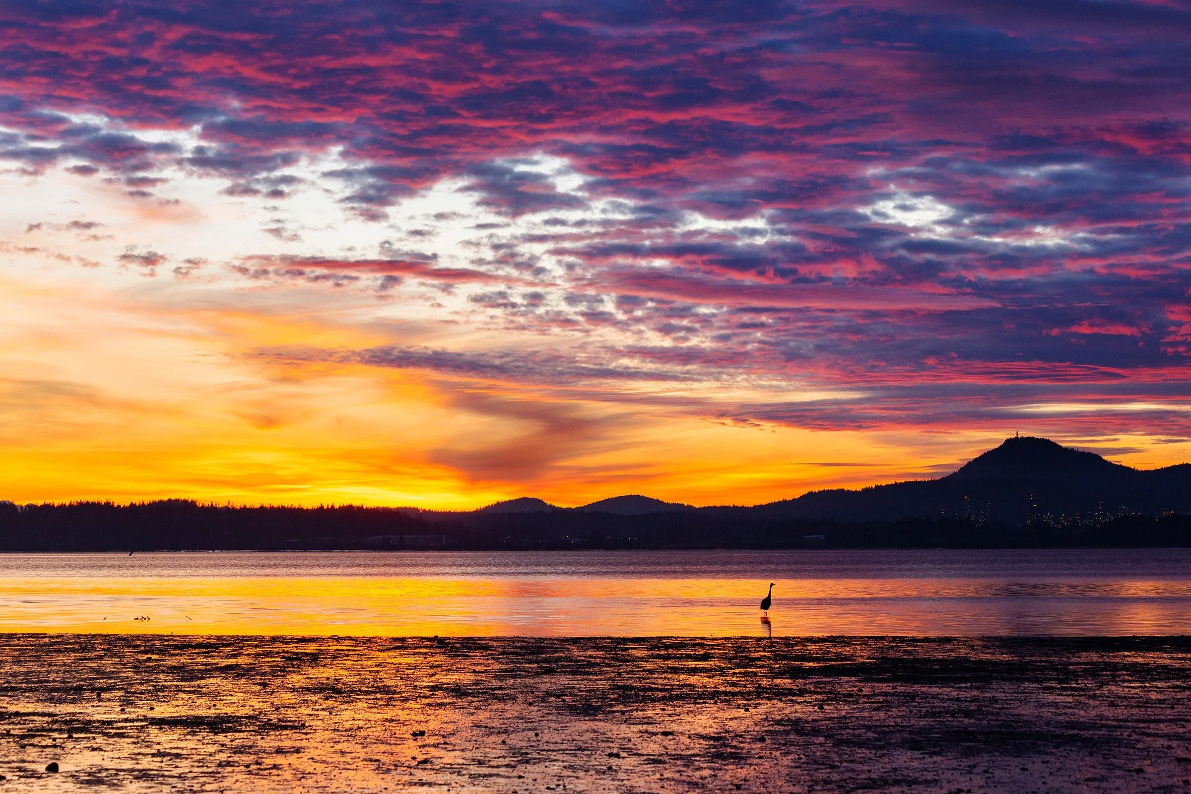Home Sunsets © Wyatt Mullen