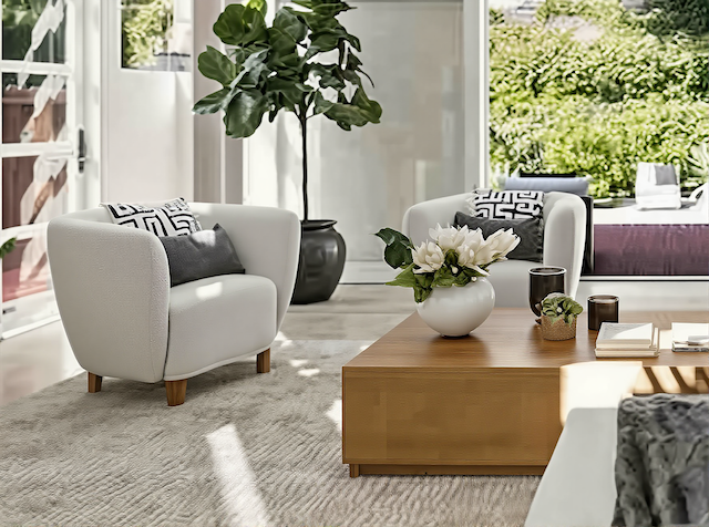 Luxury transitional living room staging with white armchairs, a wooden coffee table, a large potted plant, and large windows in Southern California