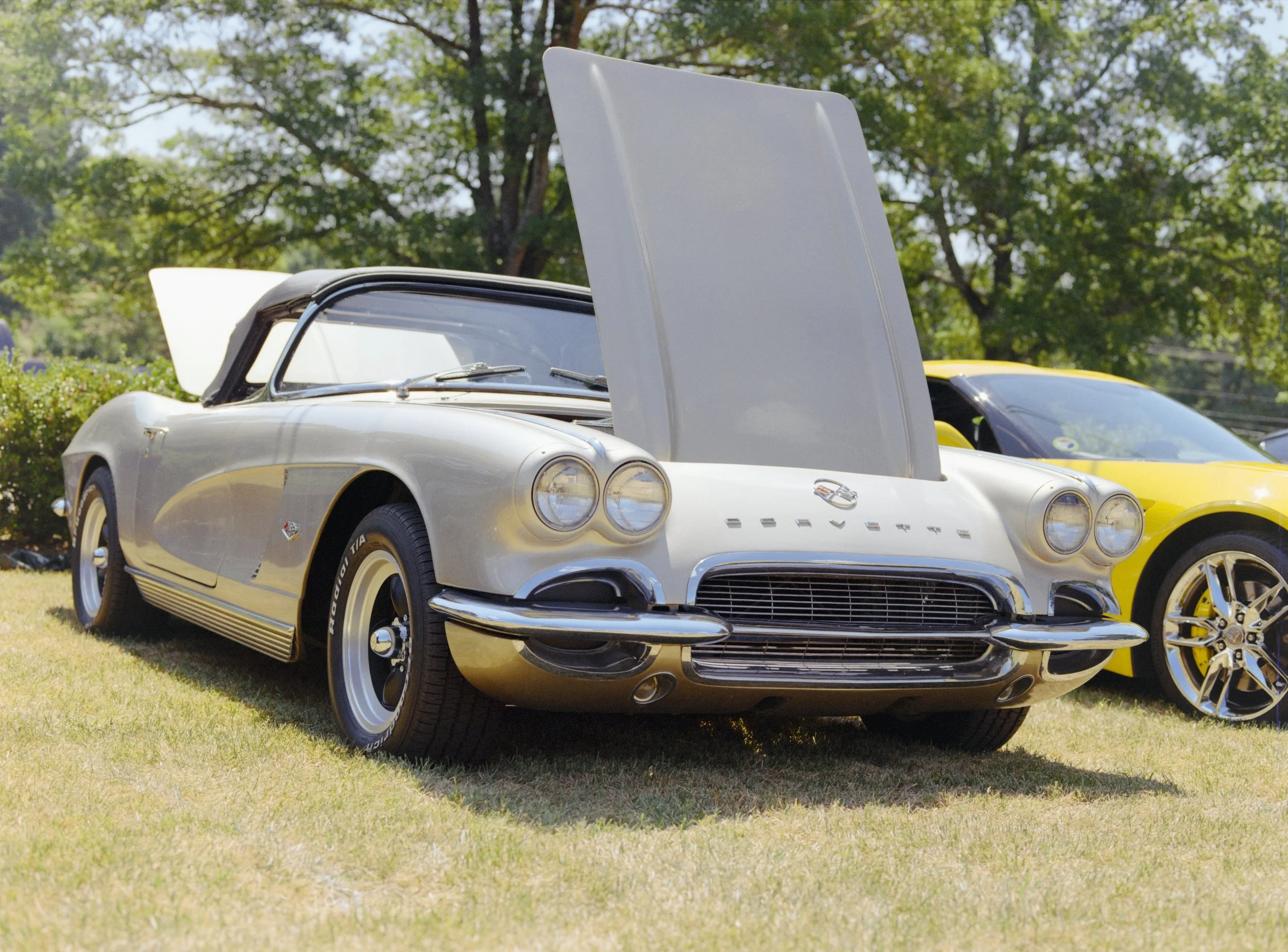 Classic white Corvette with its hood open, parked on grass, with trees in the background.