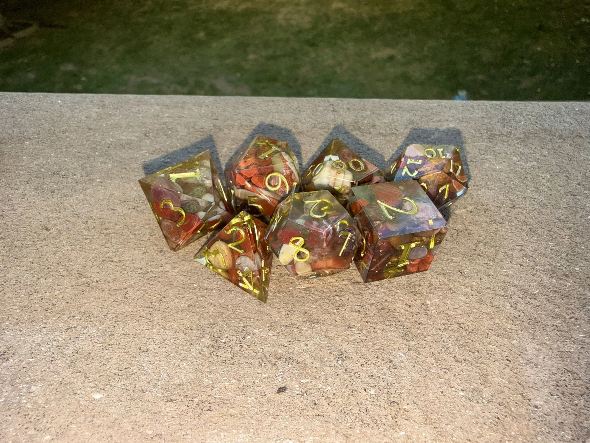 IMG_3812.JPEG