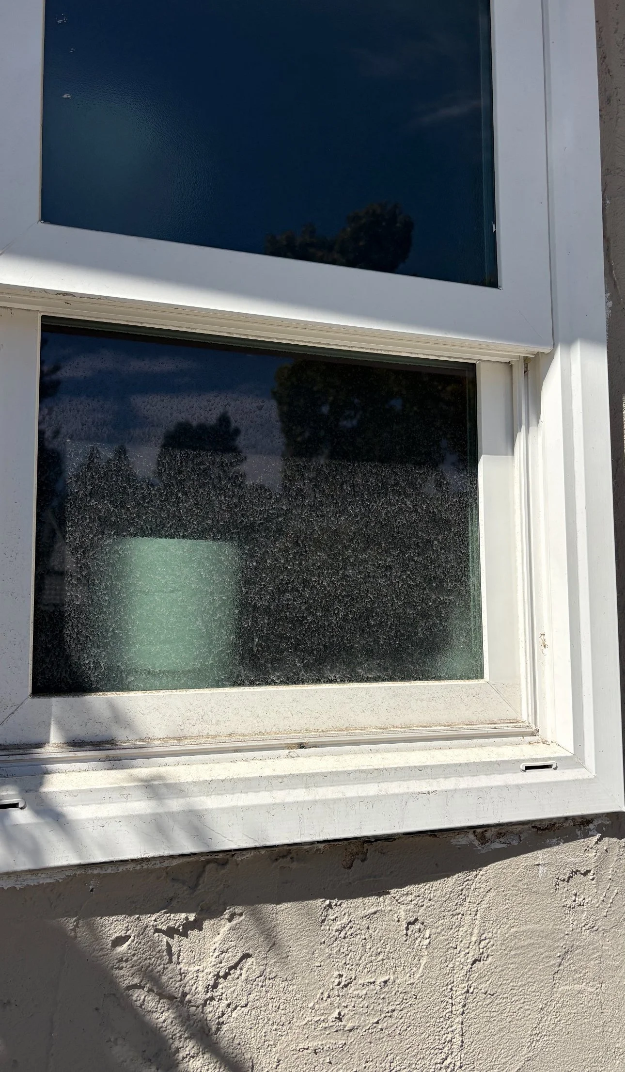 Close-up of a white-framed window set into a textured beige wall, with reflections of trees and the sky on the glass, and shadows cast on the wall.
