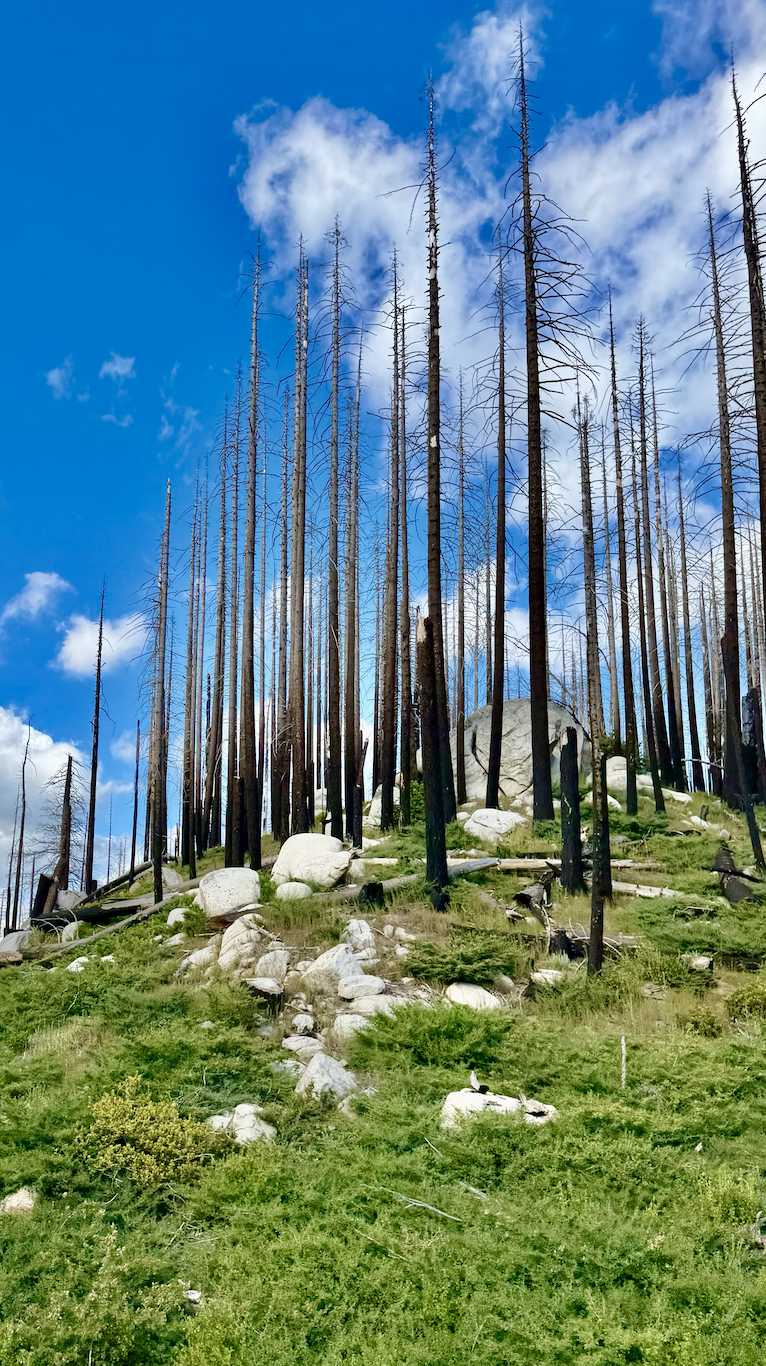 Blog_02_07092926_07.png