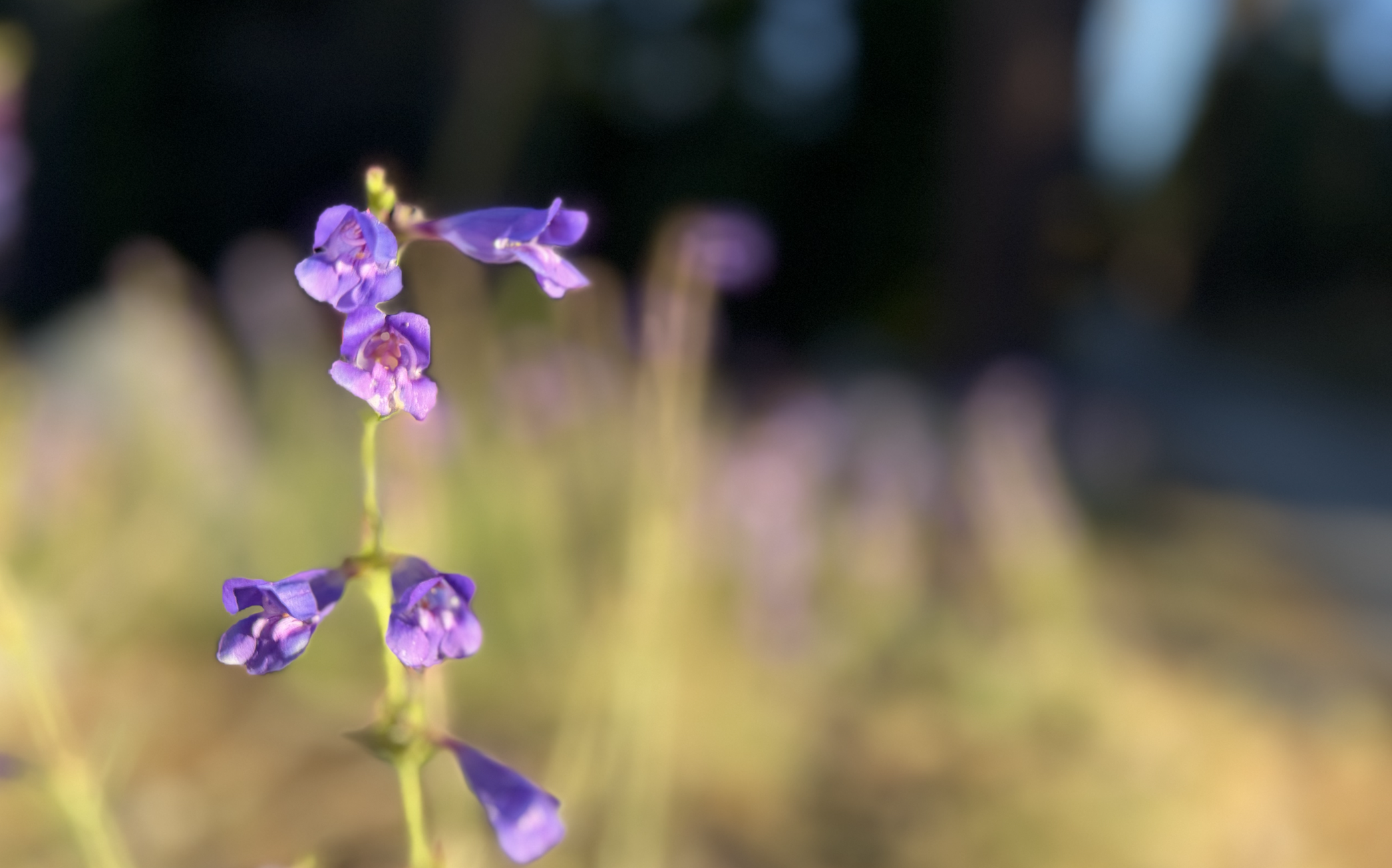 Blog_02_07092926_02.png