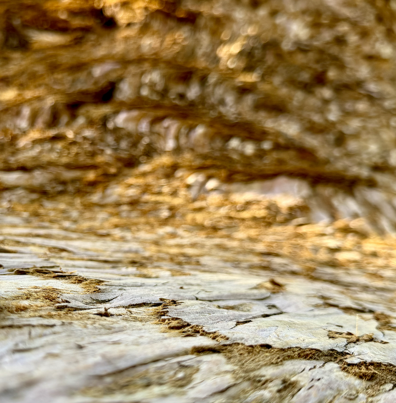 Blog_02_07092926_05.png
