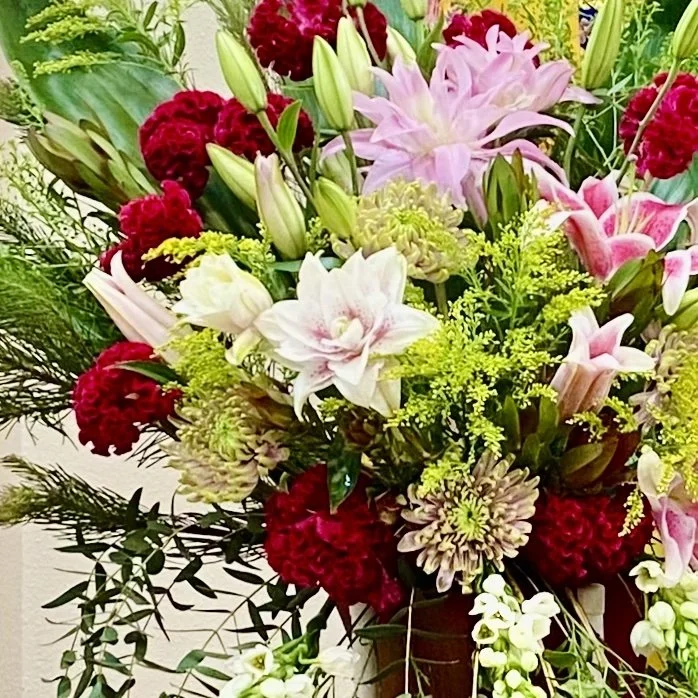 Stems and Sanctuaries