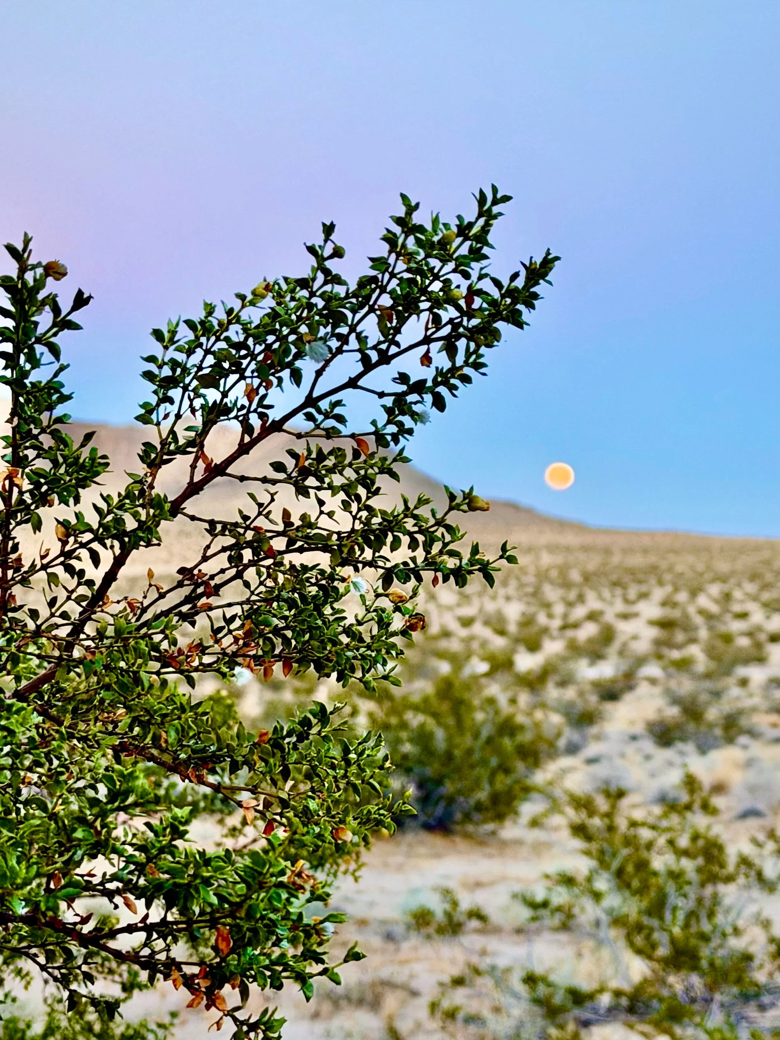 The Moon as a Finish