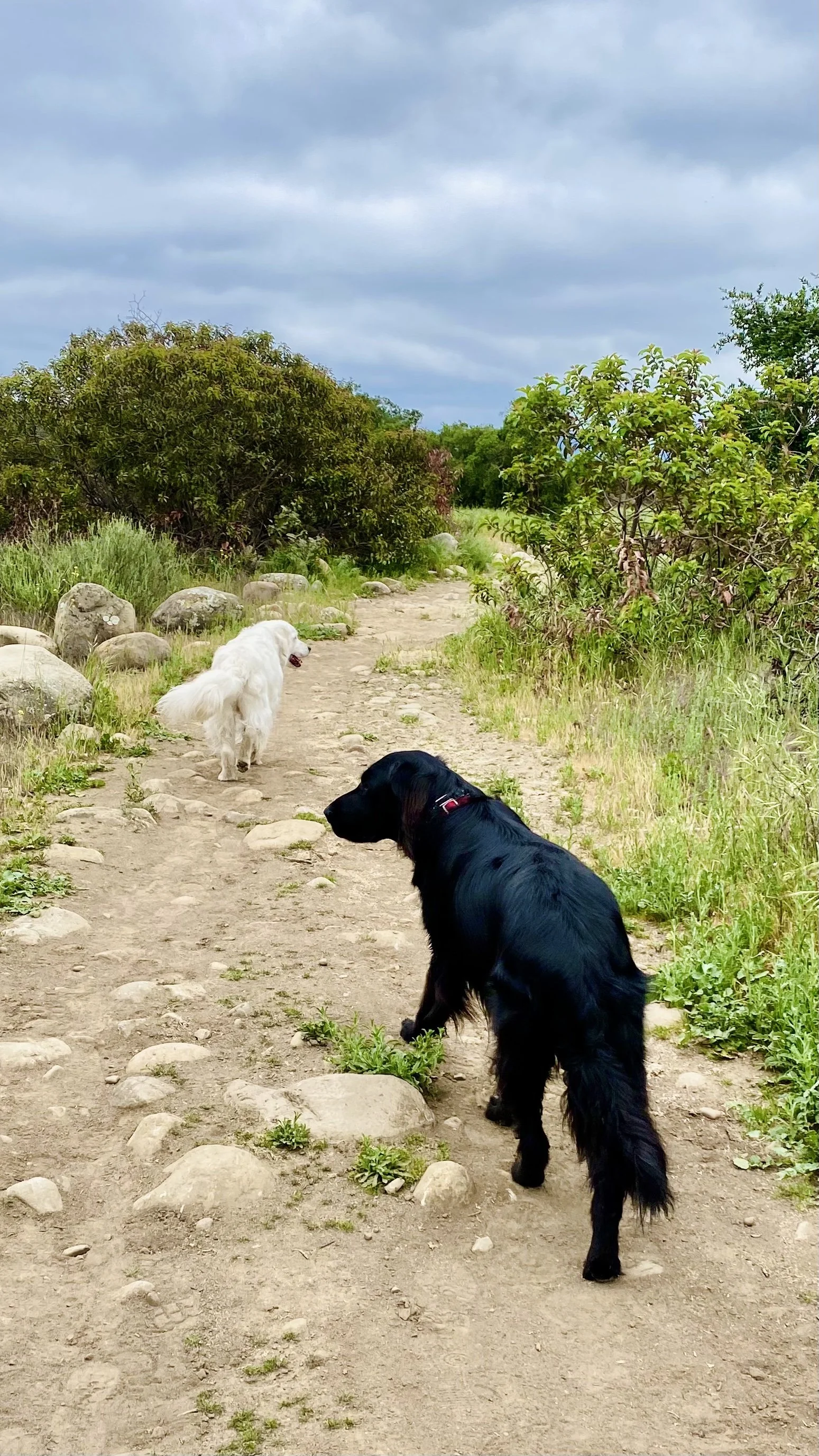 Blog_07_07_07132026.jpg