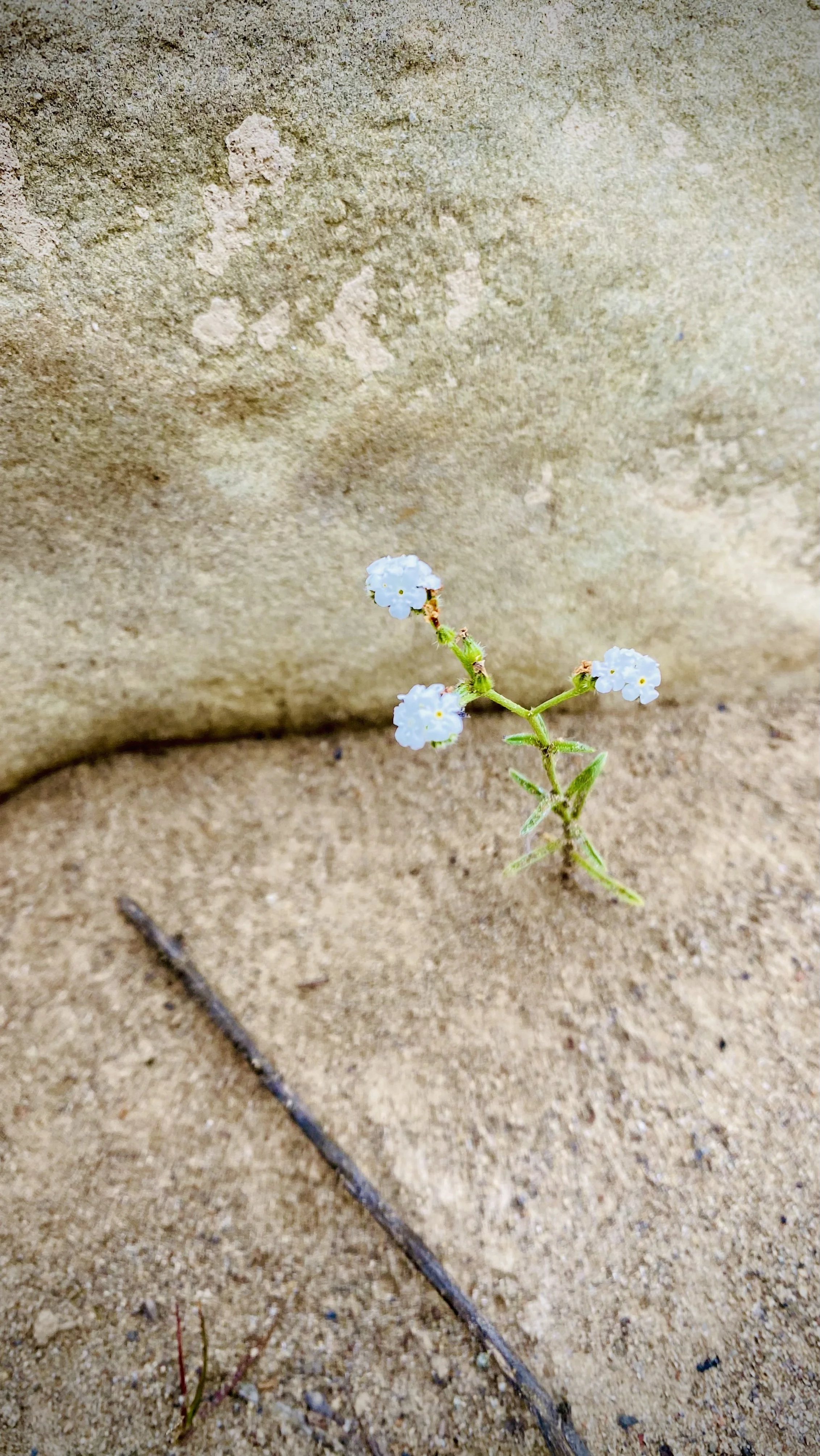 Blog_07_03_07132026.jpg