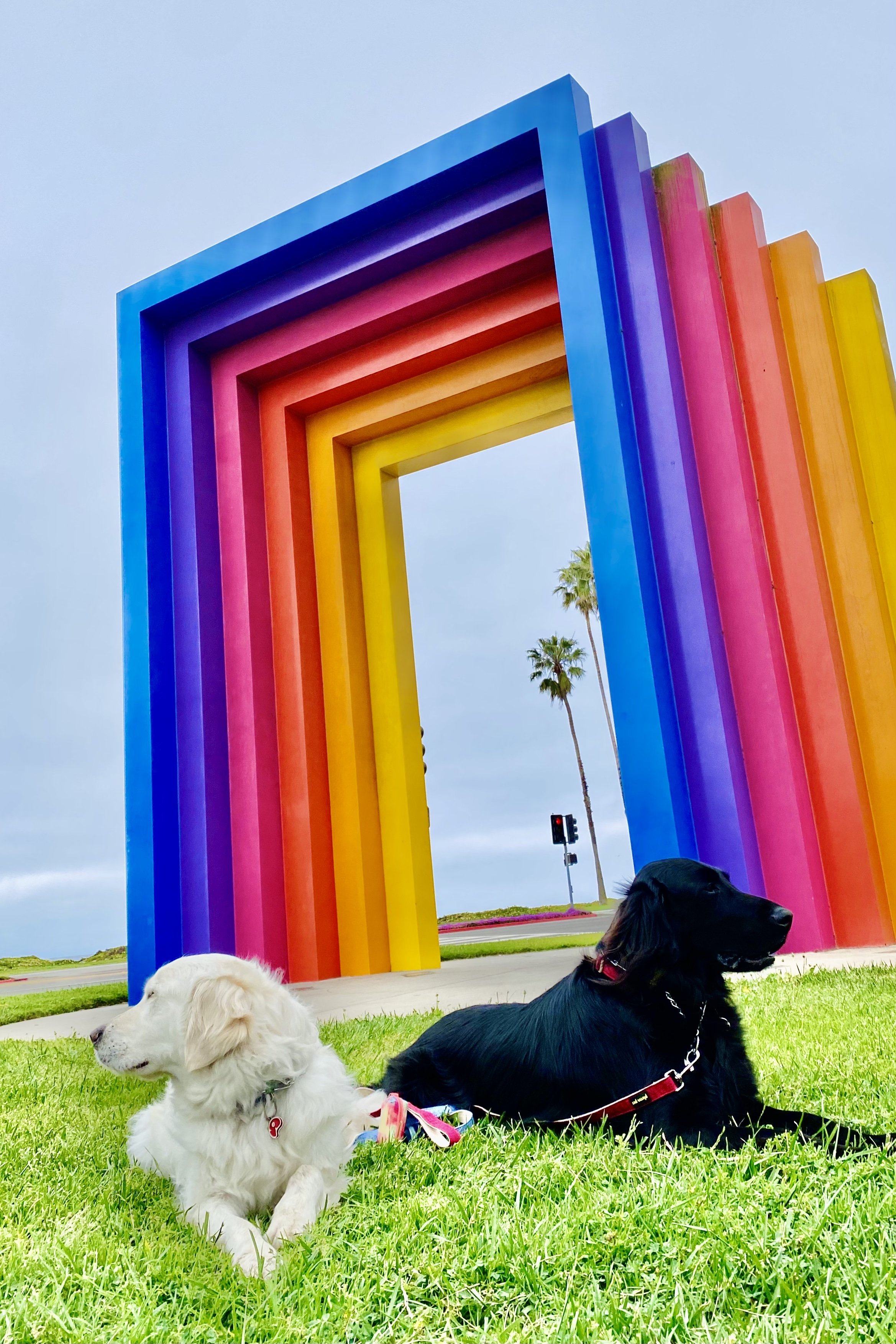 Two dogs sitting on green grass below a large rainbow-colored geometric sculpture with rectangular frames, trees, a traffic light, and a blue sky in the background.