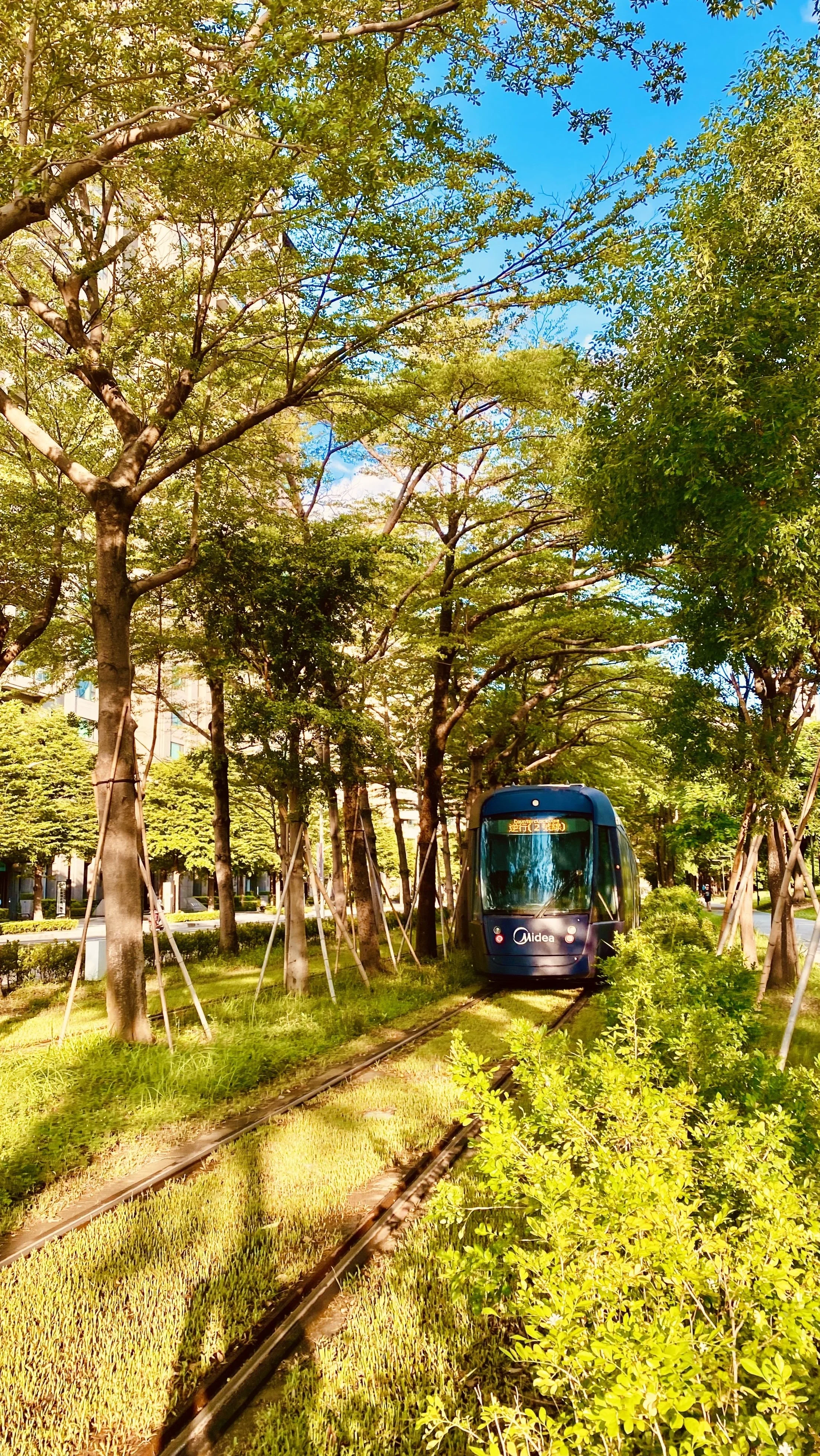 A small blue tram on railway tracks surrounded by green trees and bushes, with apartment buildings in the background and a bright blue sky.