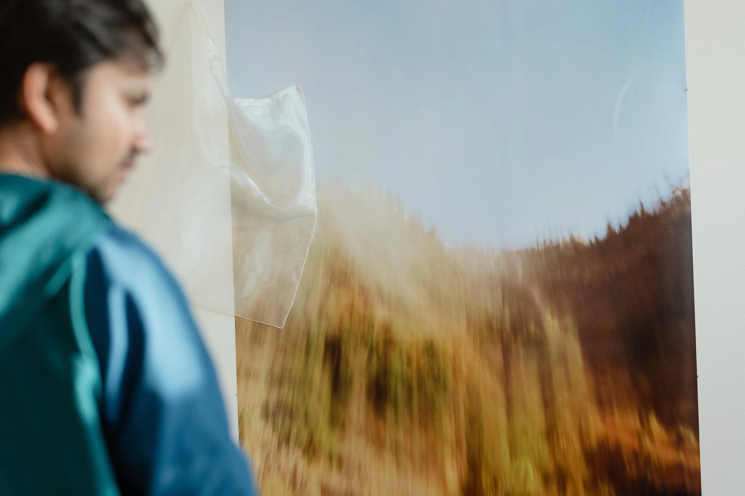 A person with short dark hair wearing a blue jacket, standing in front of a large landscape painting or photograph that depicts a field with trees at the horizon and a blue sky.