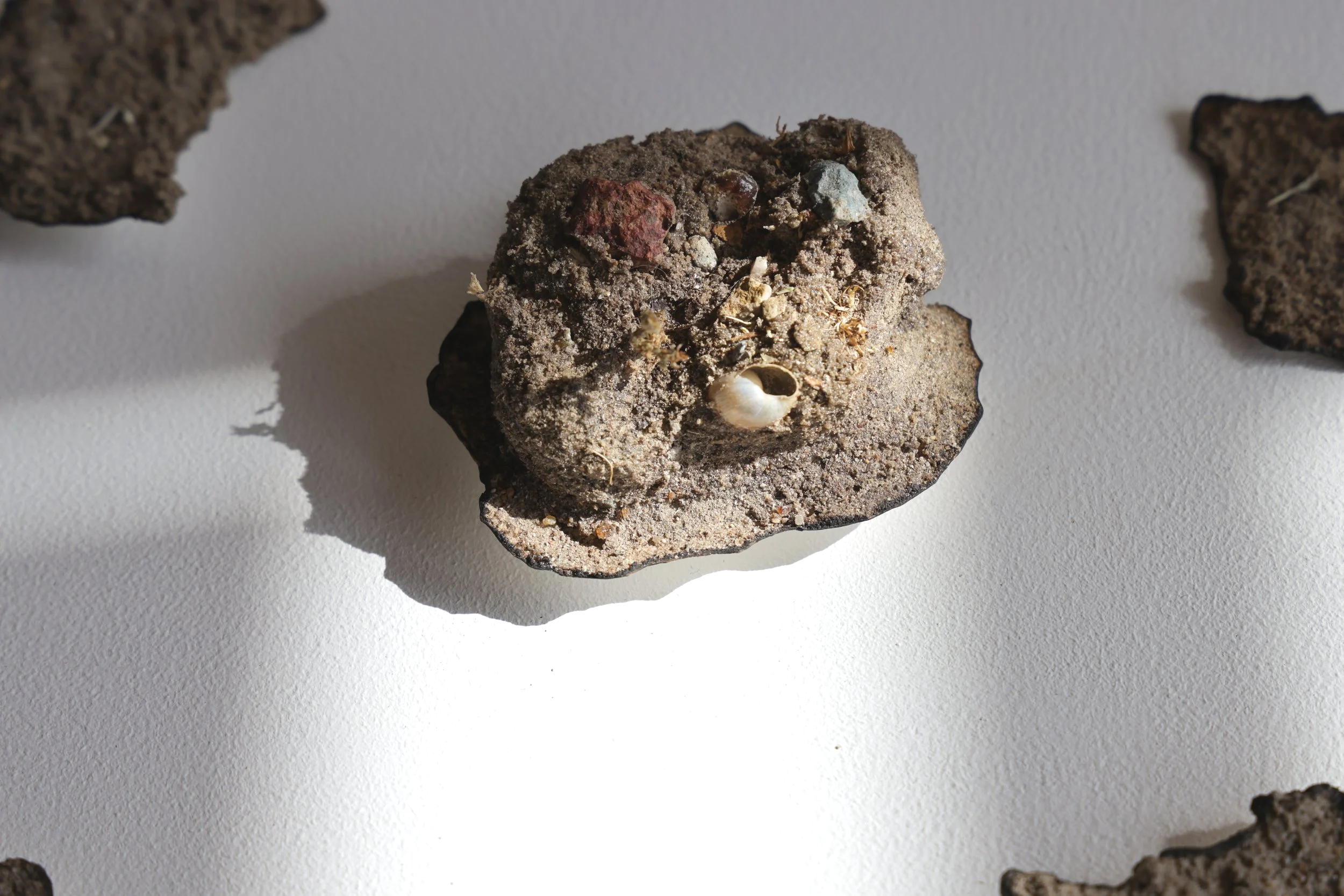 A large rock with small embedded stones and a seashell, surrounded by other rocks on a white surface.