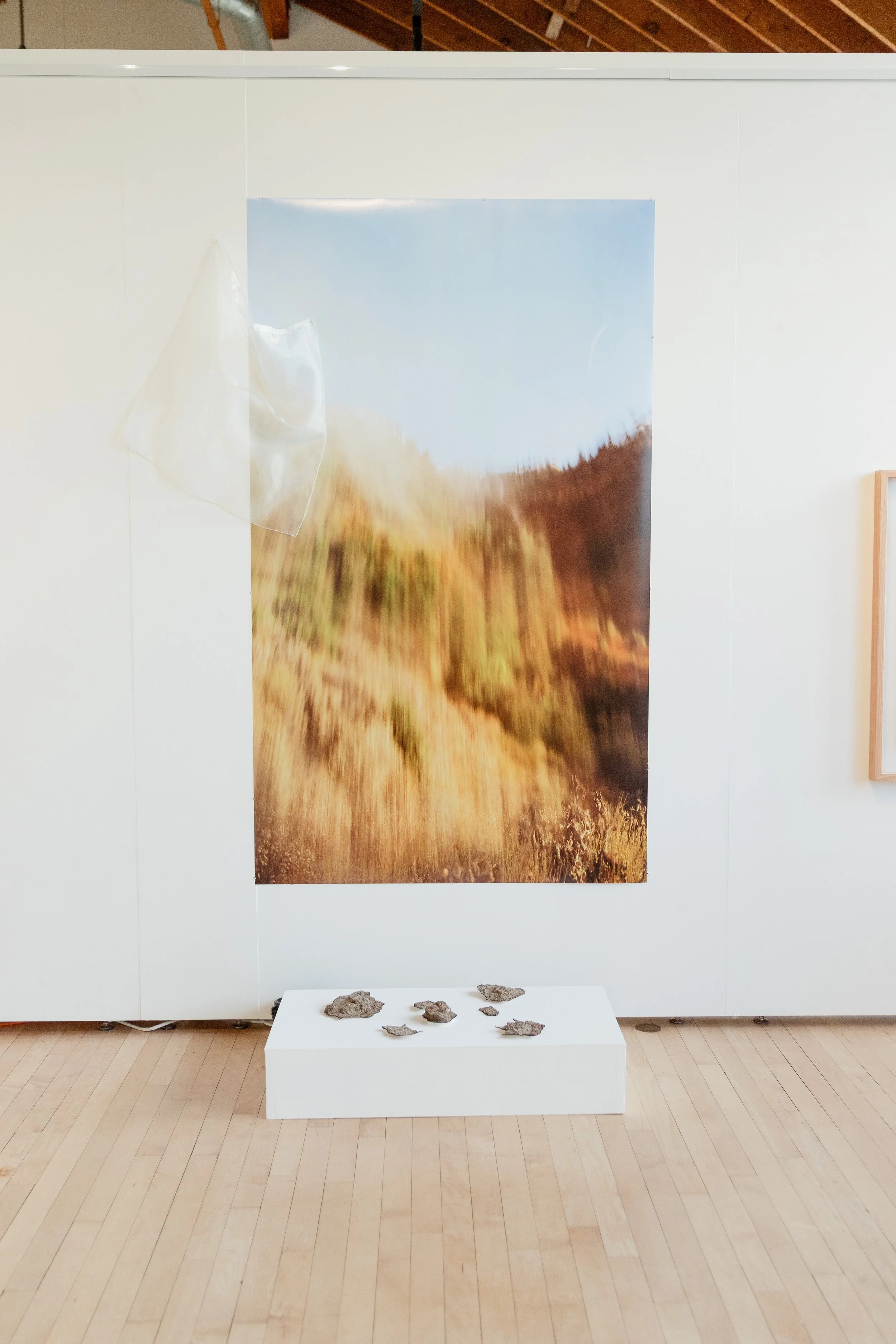 An art installation with a large vertical photograph of a wheat field, mounted on a white wall. In front, a white pedestal displays several pieces of grayish rock or concrete debris. To the left, a piece of transparent plastic fabric hangs loosely, a