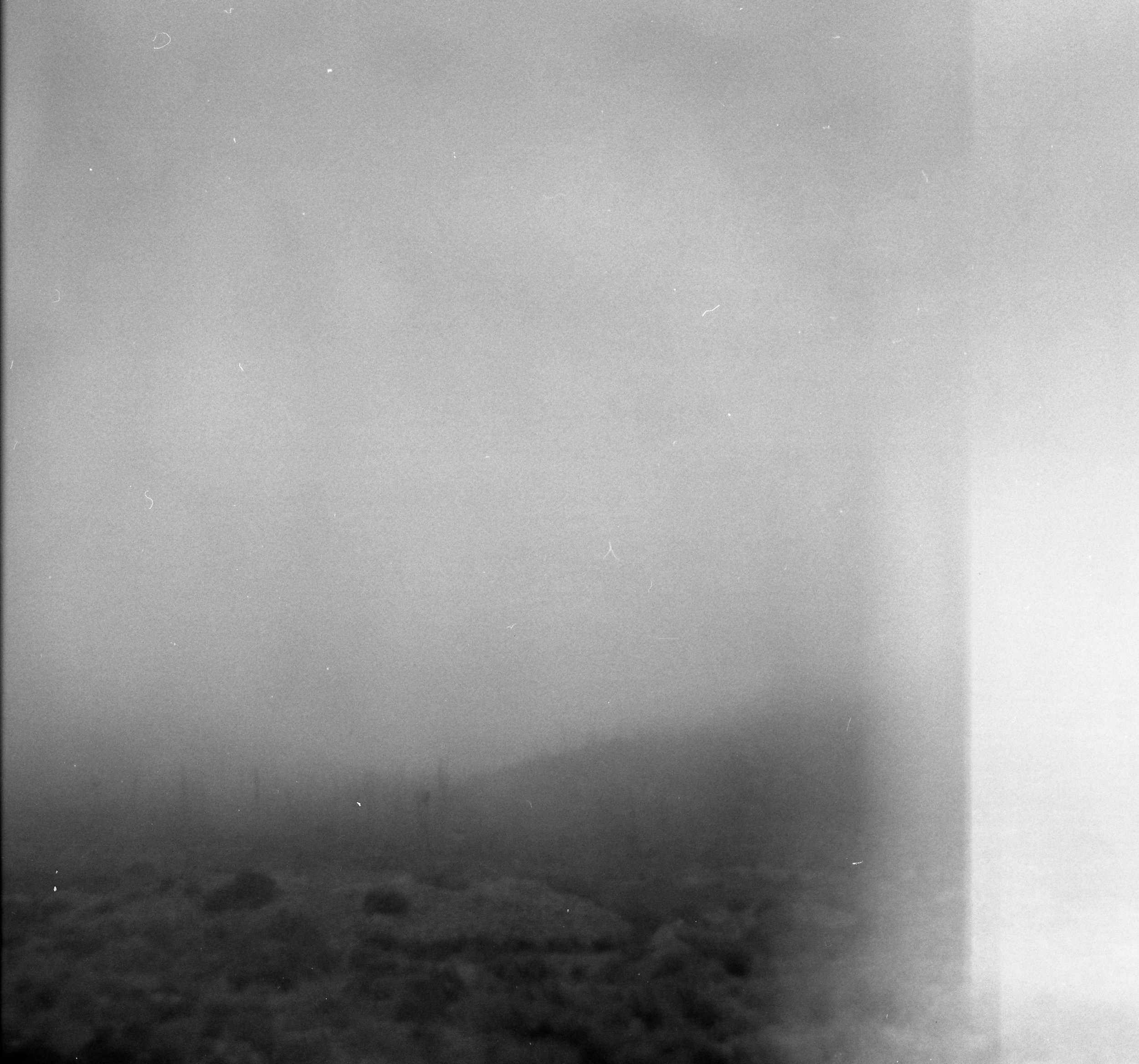 A grayscale photograph of a night sky with numerous stars visible, with a dark horizon line at the bottom.