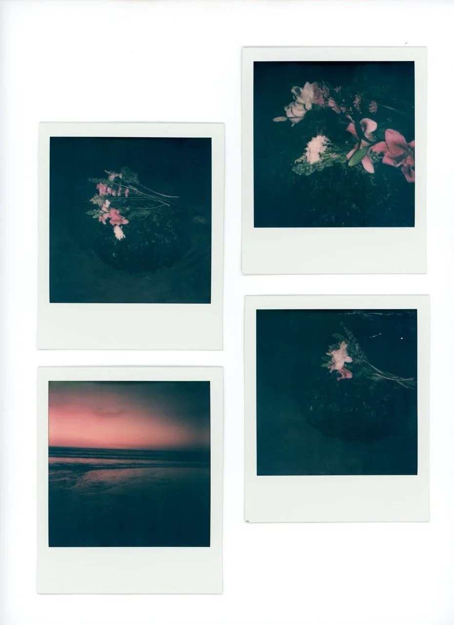 Four instant photographs of flowers and a sunset on a beach, arranged on a white background.