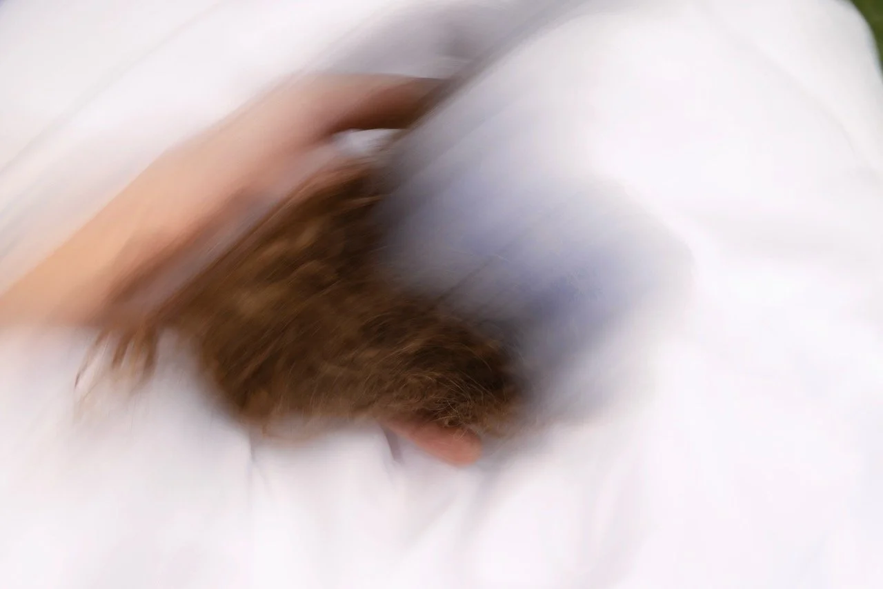 A blurred image of a person handling a brown object or animal, with a white background.