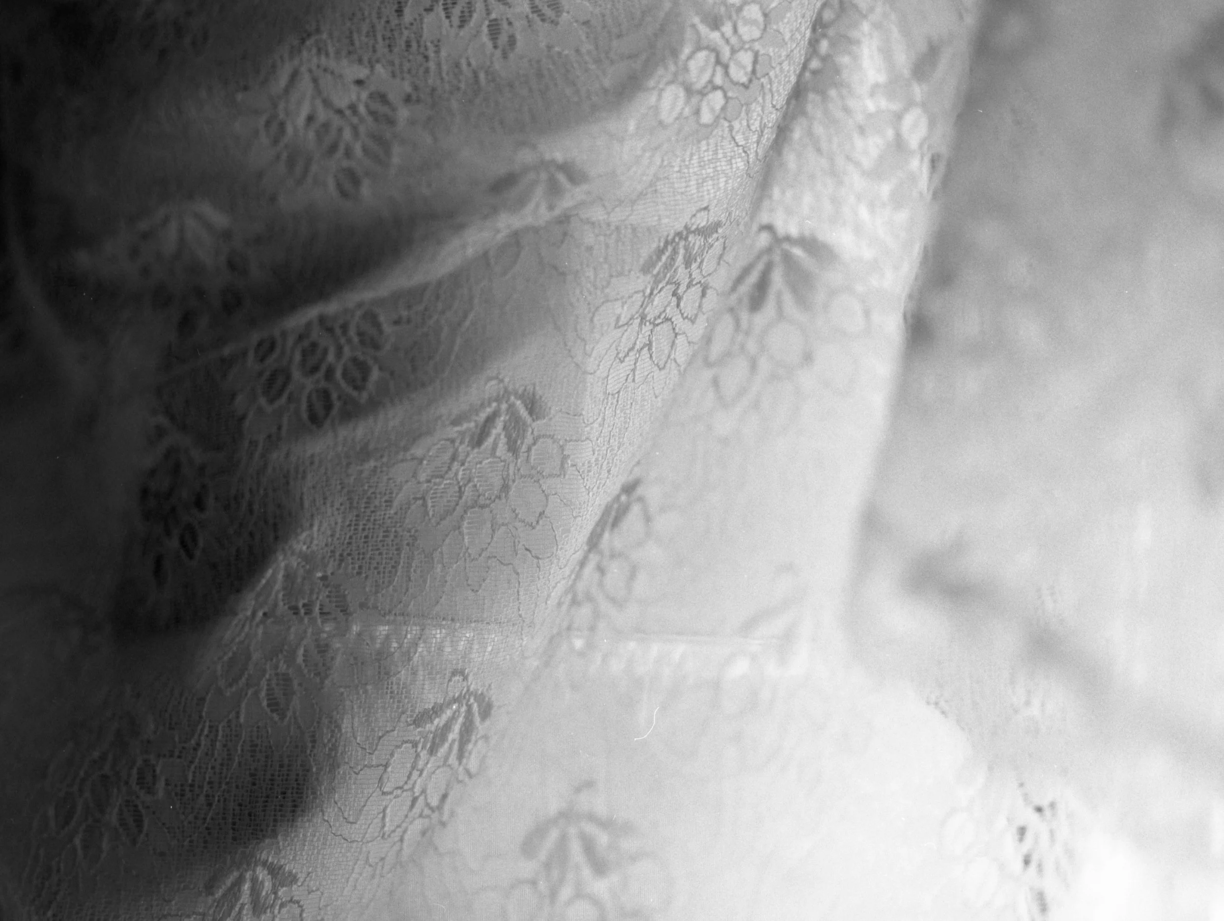 Close-up of lace fabric featuring floral patterns.