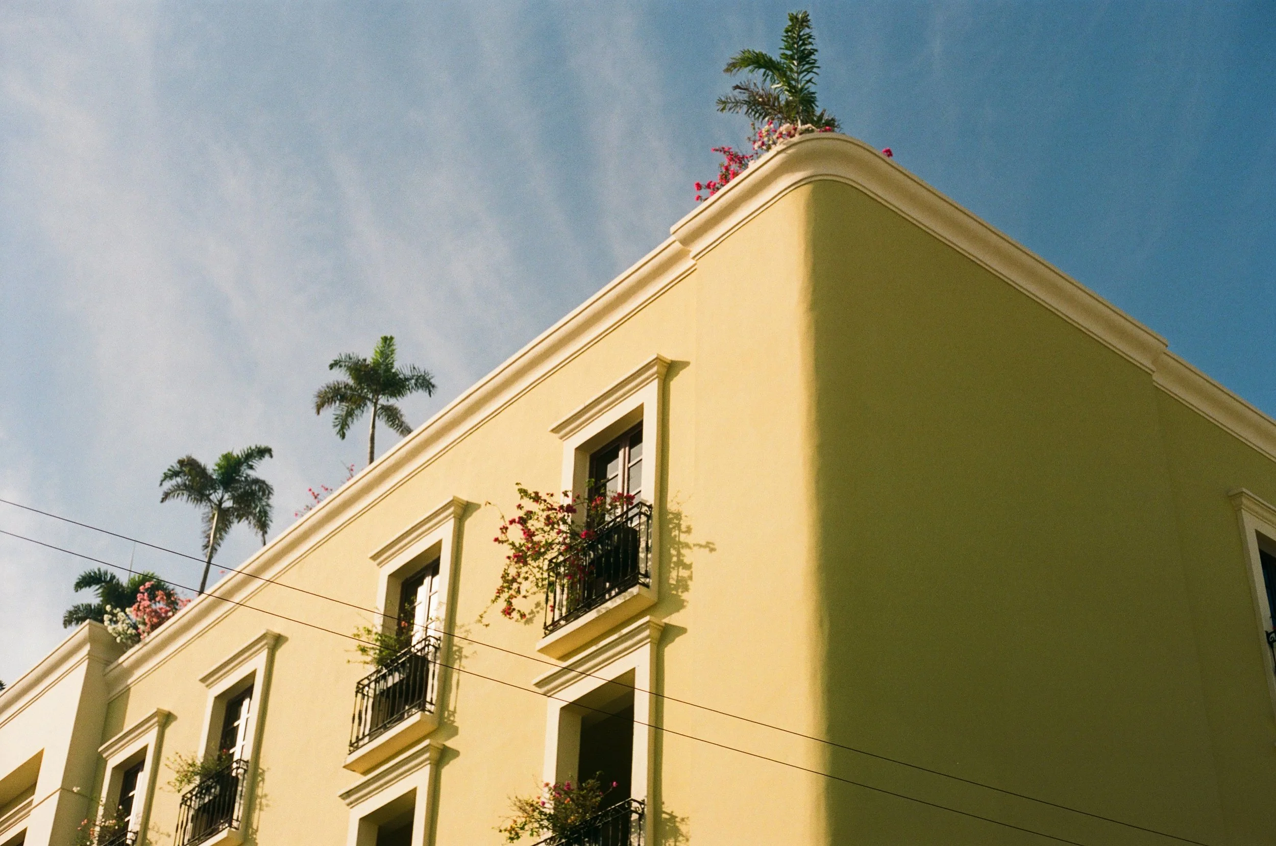 Yellow building with multiple windows and balconies decorated with flowers, blue sky with some clouds, and tall palm trees in the background.