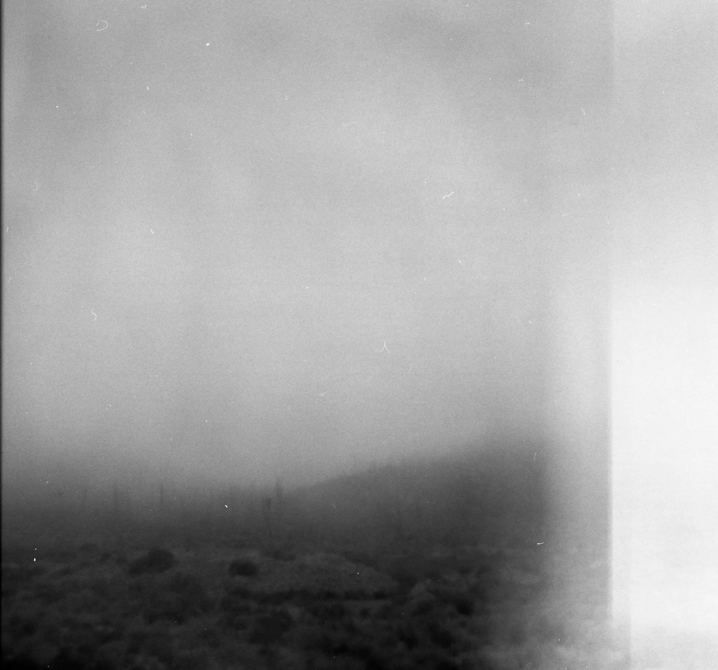 Black and white photo of a starry night sky with a gradient from light at the top to dark at the bottom.
