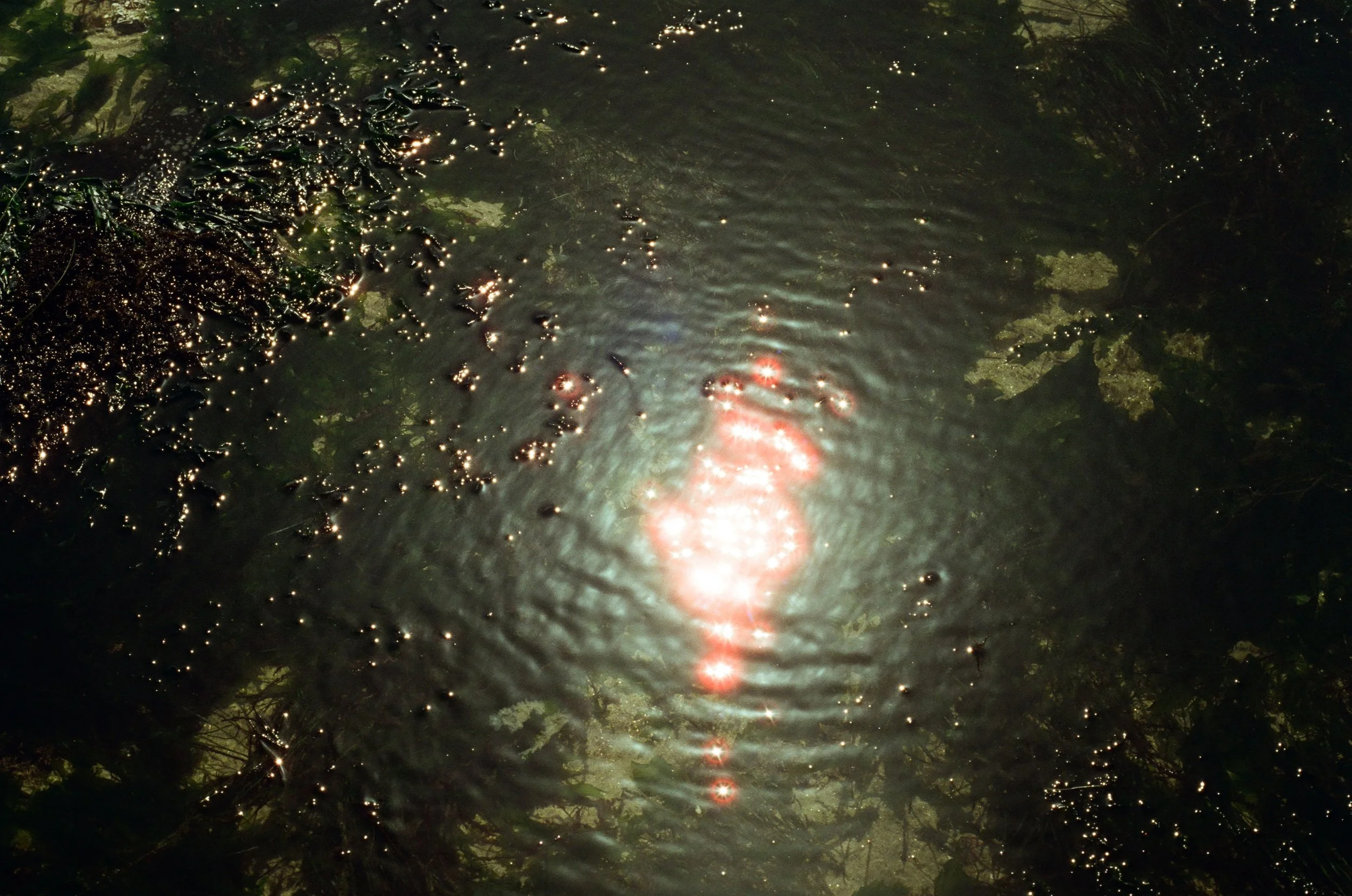 Reflections of sunlight on a body of water with surrounding vegetation.