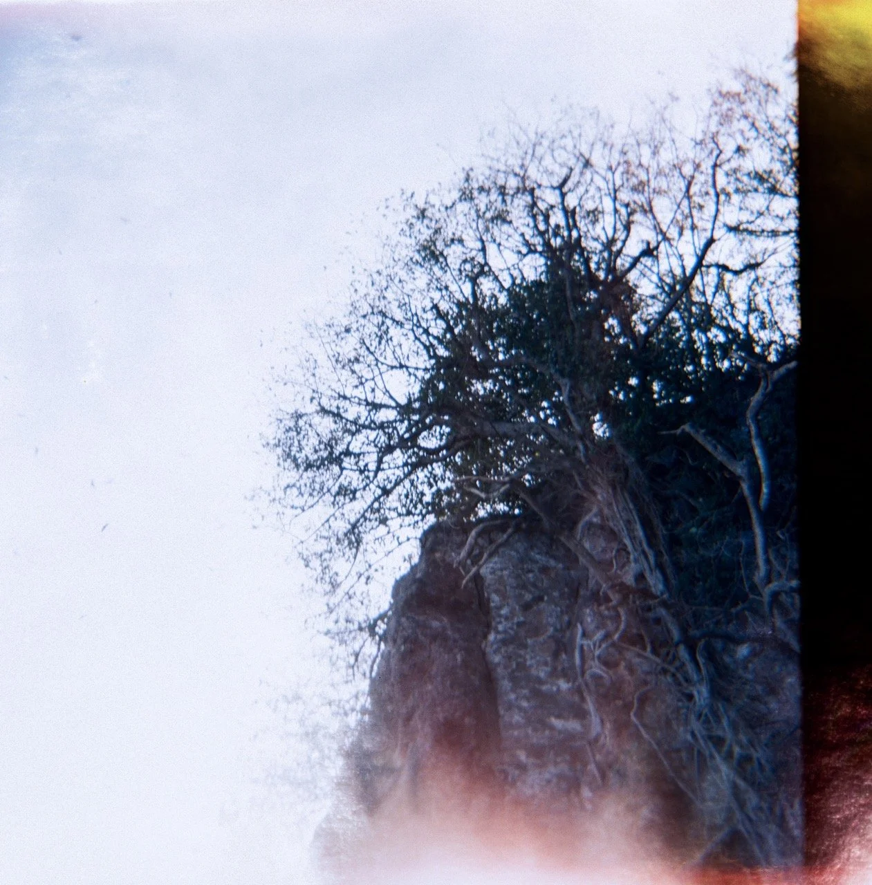 A rocky cliff with leafless trees growing on top, viewed from below against a pale sky.