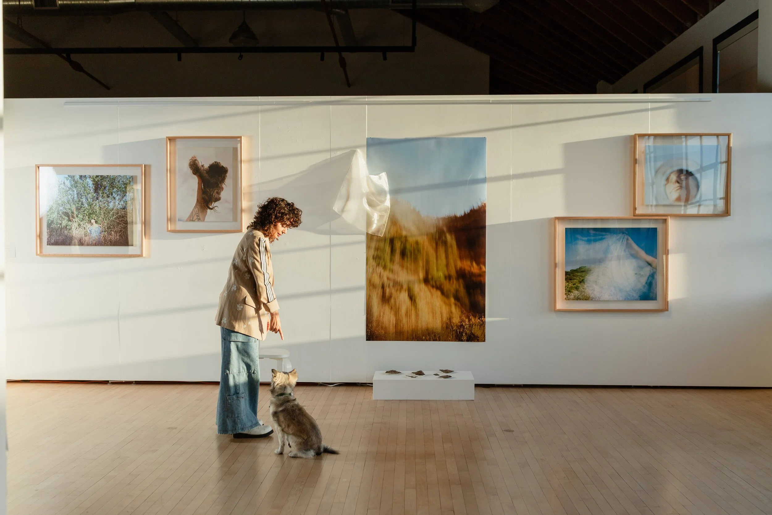 An art gallery with a woman and a dog in the foreground, and framed landscape photographs on the wall. The woman is looking down at the dog, which is sitting and looking up at her.