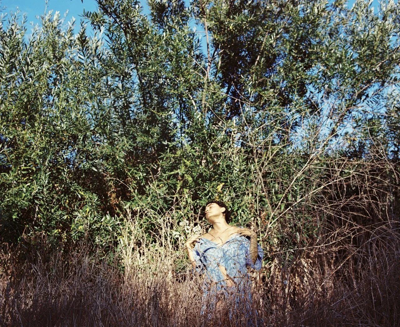 A woman with short hair in a blue dress standing amidst tall dry grass and dense green bushes under a clear blue sky.