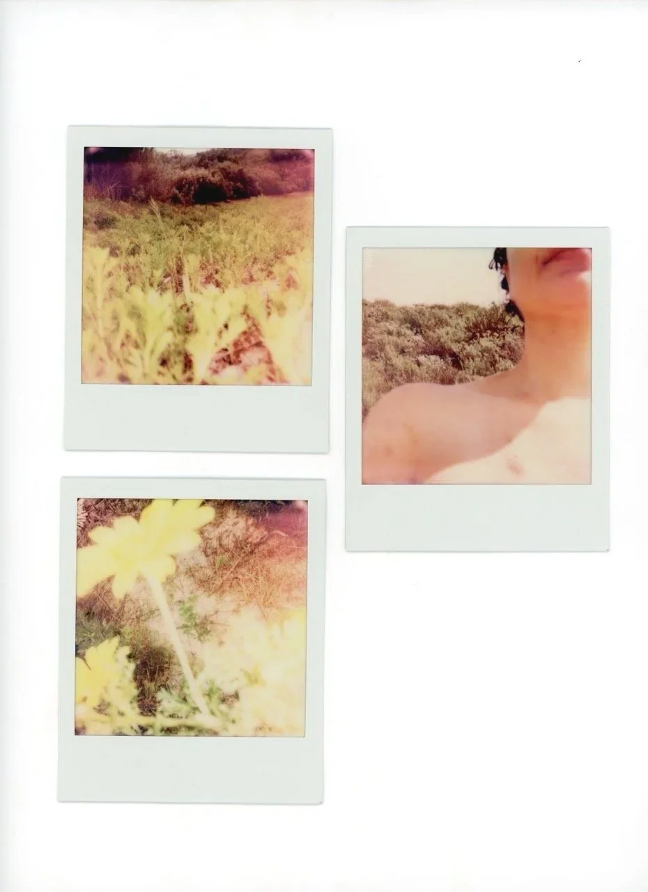 Three polaroid photos on a white background: two pictures of yellow flowers and green foliage, one partially showing a person's shoulder and smiling face, taken outdoors.