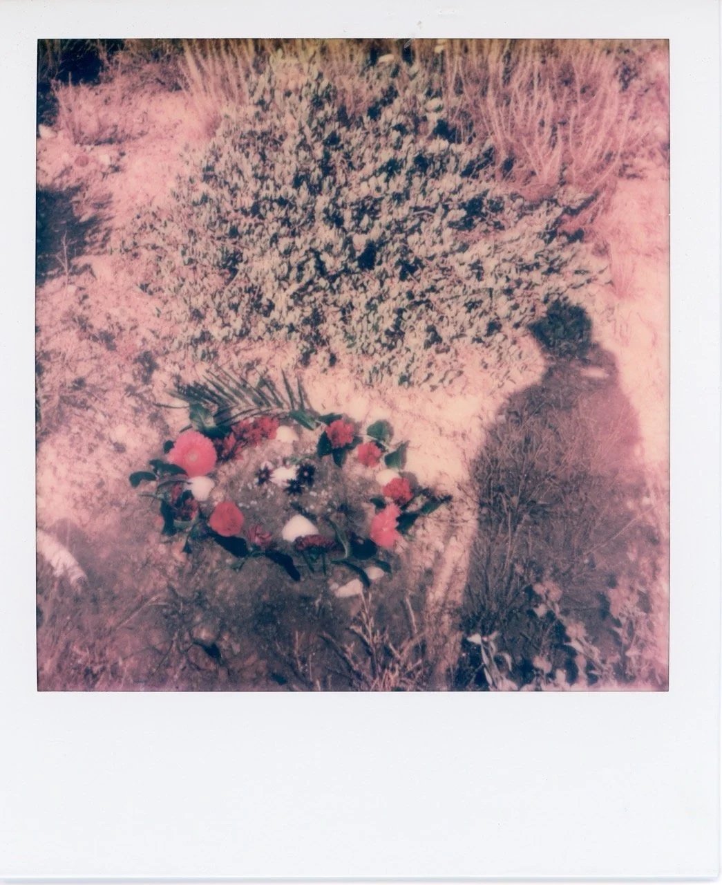 A grave adorned with flowers and greenery, surrounded by dry grass and bushes.