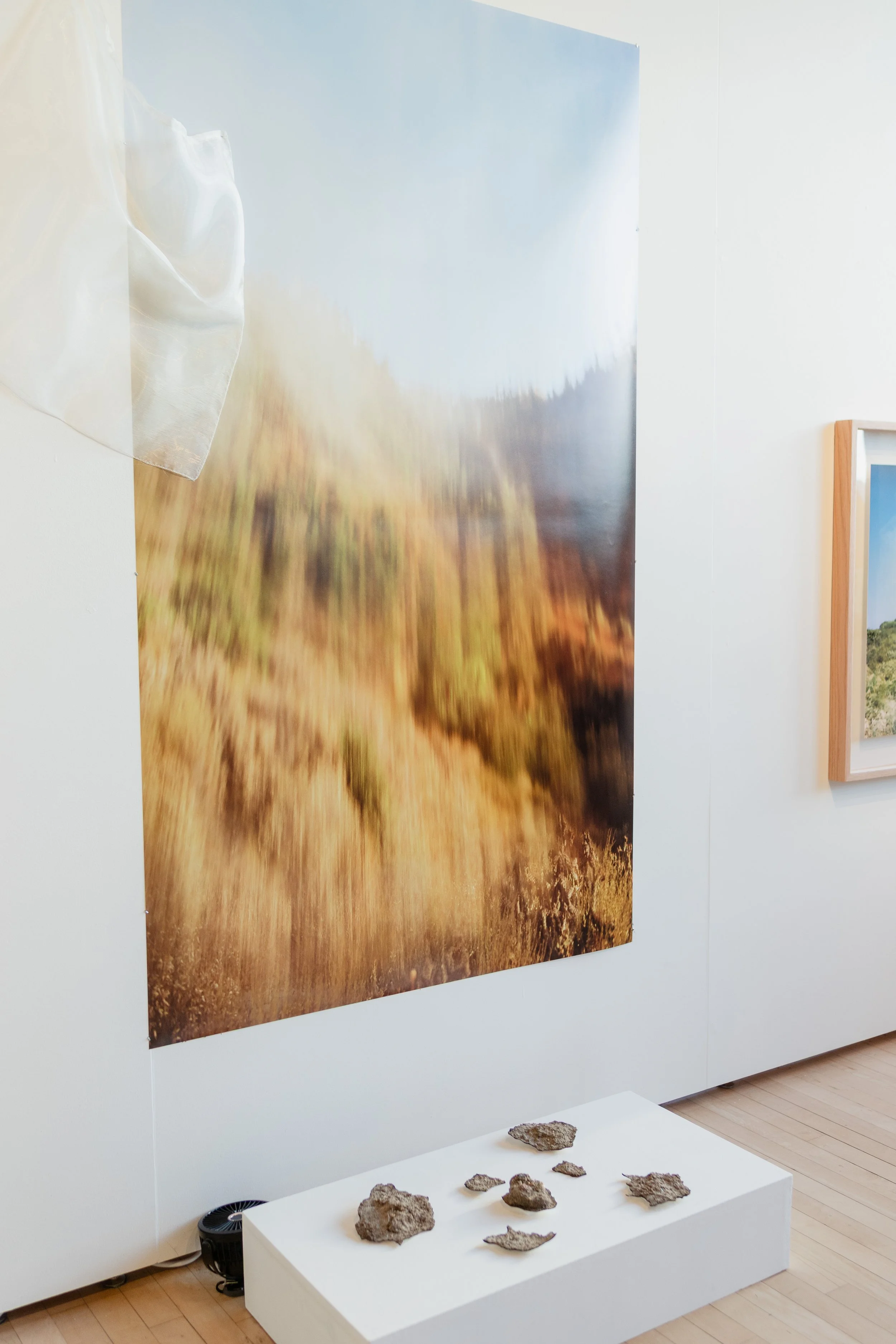 Art gallery showing a large blurred landscape photograph on the wall and a white pedestal with multiple rocks and fossils displayed on it.